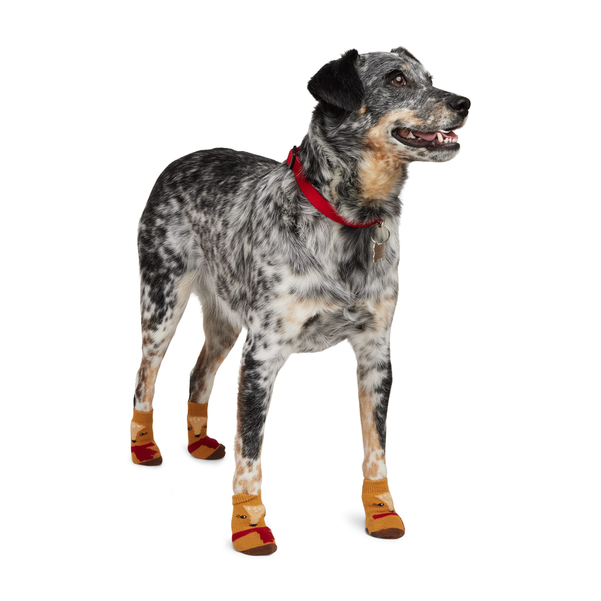 Reddy Black Grip Dog Socks, Small