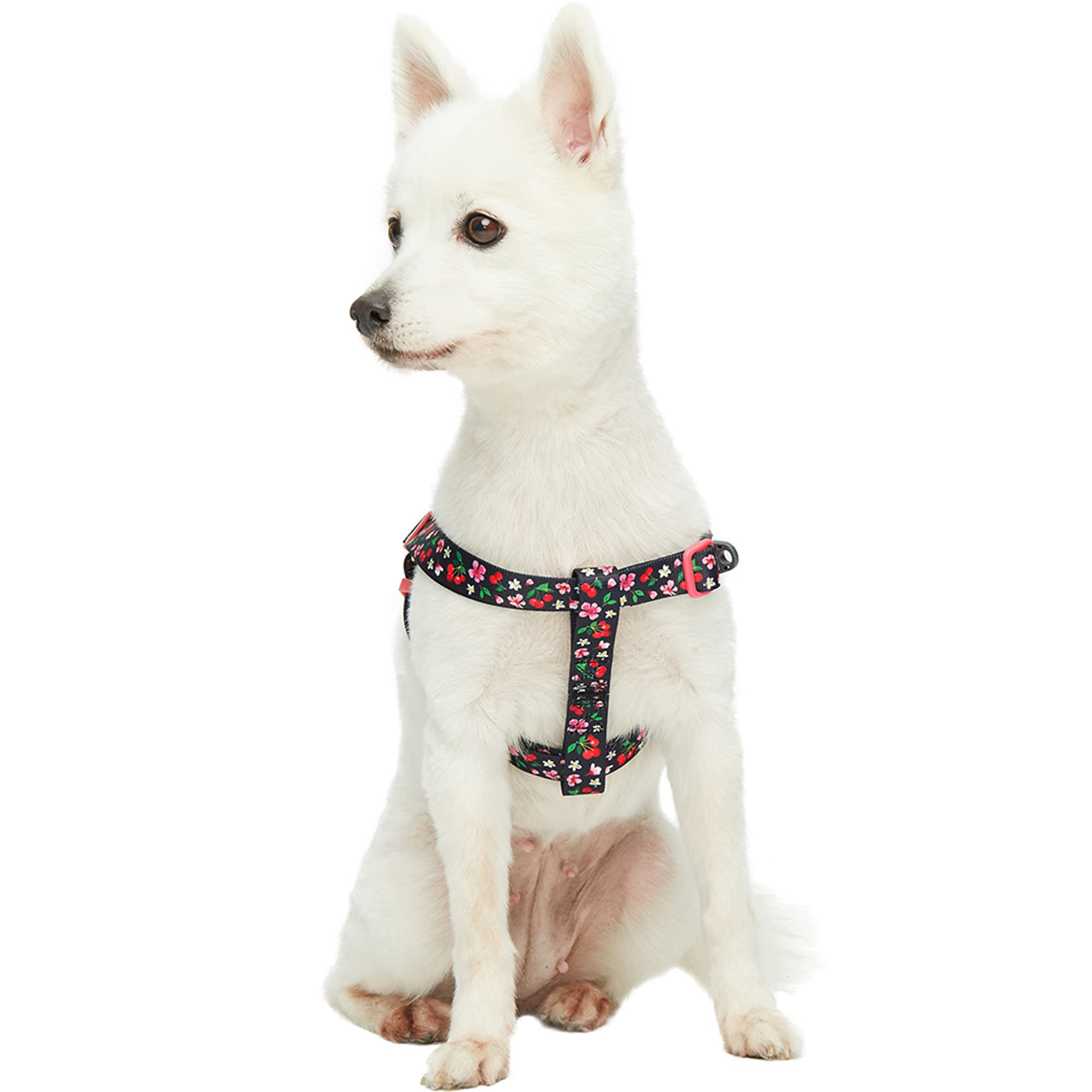 Blueberry Pet Enchanting Sea Dog Harness Vest X-Small