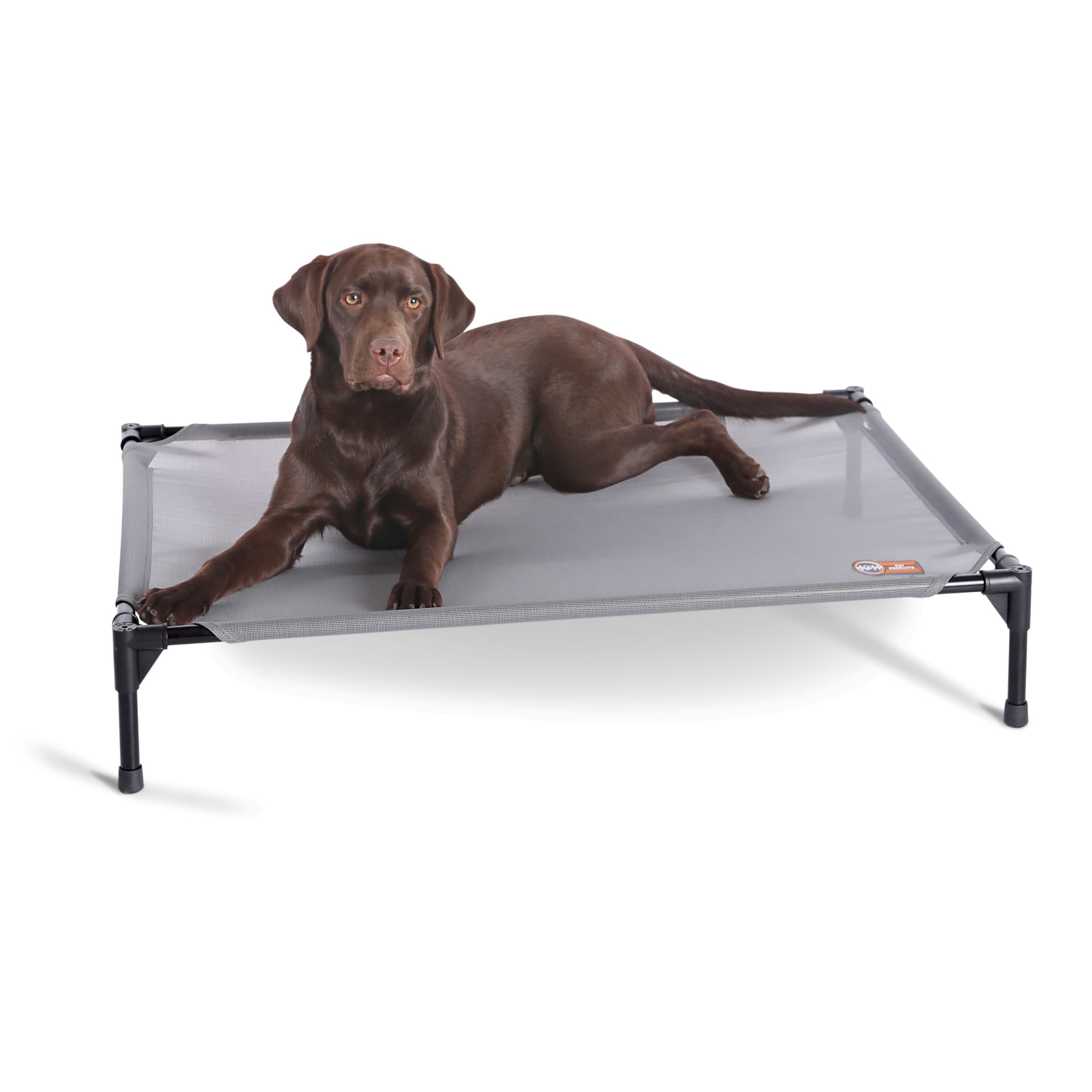 Kopeks Elevated Indoor/Outdoor Bed with Foam Mattress for Dogs, 48