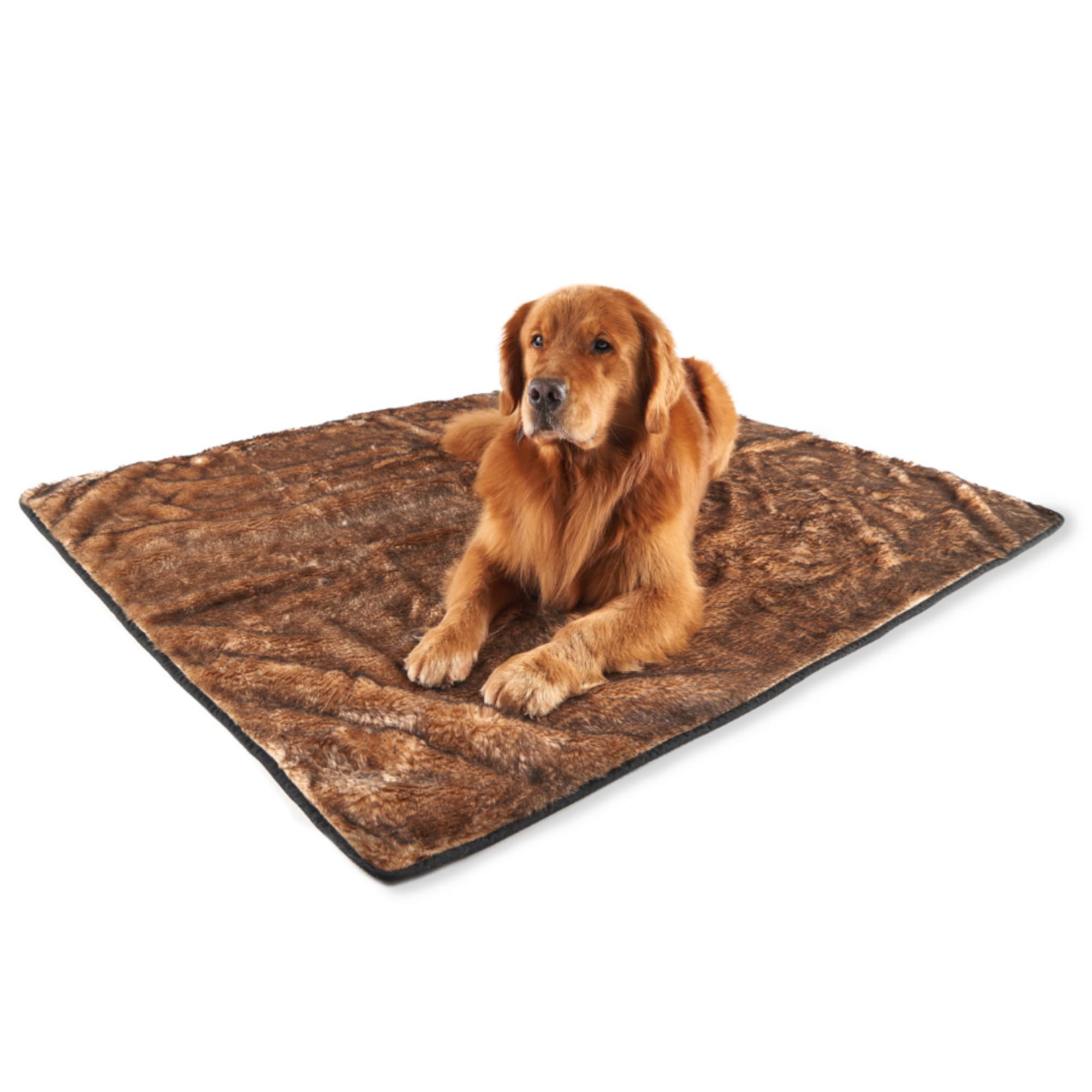 My Doggy Place Dog Mat for Muddy Paws, Washable Dog Door Mat, Brown, L 
