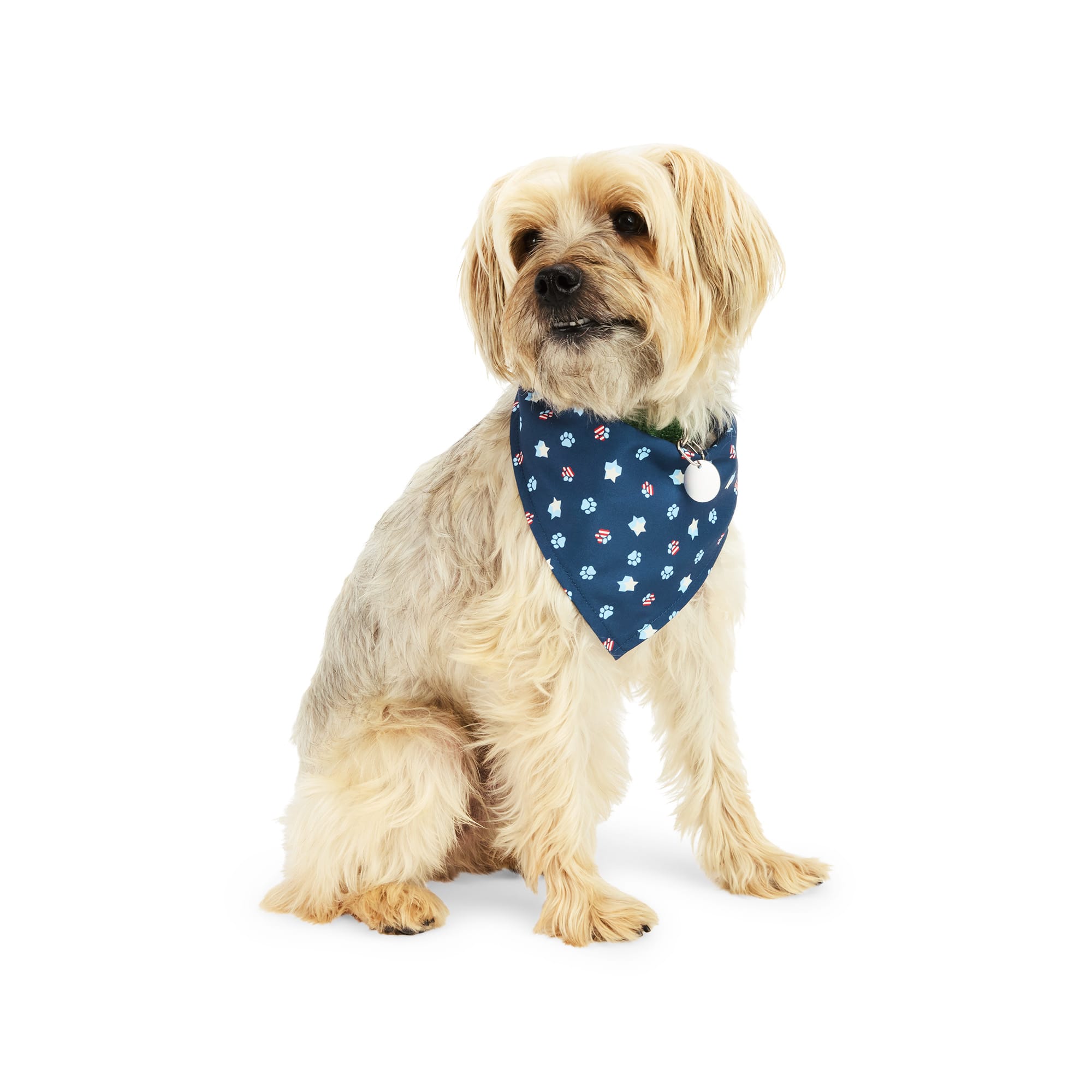 Halloween Dog Costume 20 Pcs Patrick's Day Dog Bandana Pet