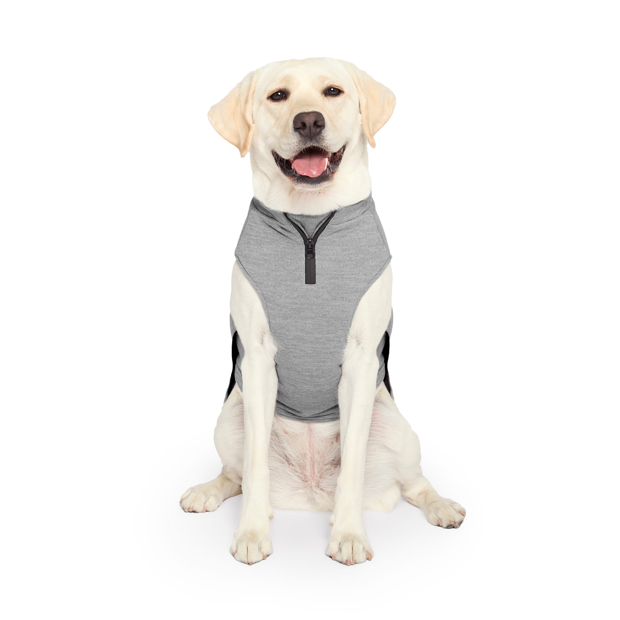 Thunder Vest For Dog Anxiety ThunderShirt For Dogs Dog Anxiety
