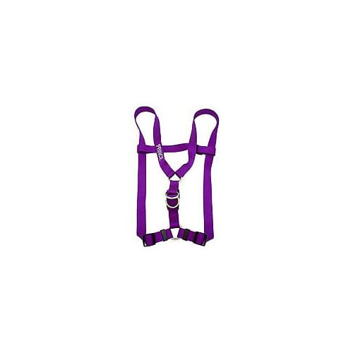 Photos - Collar / Harnesses Coastal Pet Medium Personalized Harness in Purple, 08", Purple 