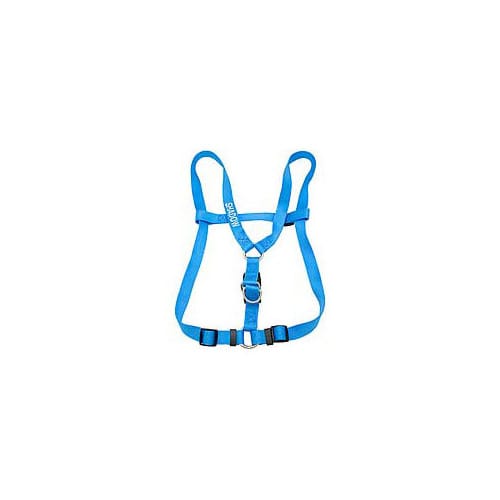 Photos - Collar / Harnesses Coastal Pet Small Personalized Harness in Blue Lagoon, Blue 06 