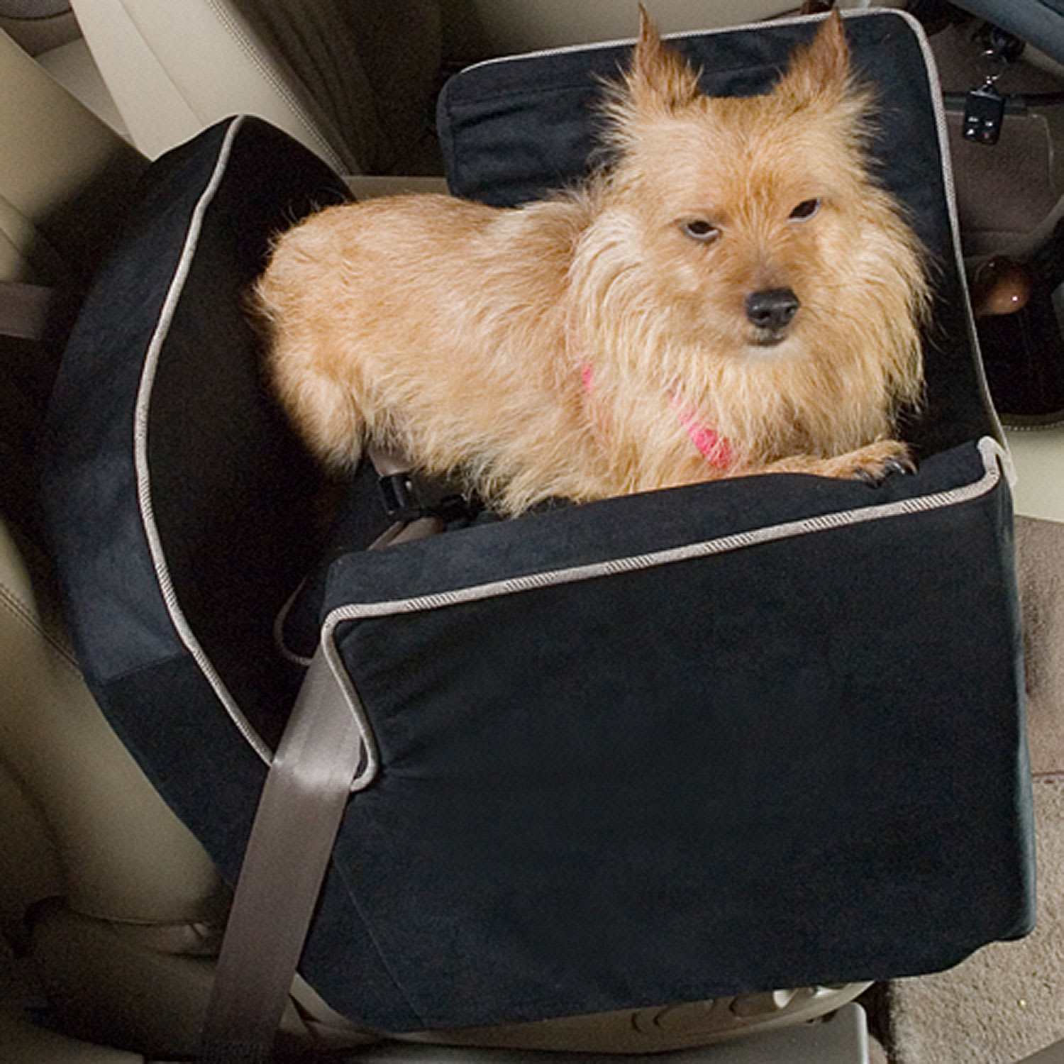 UPC 729053370877 product image for Snoozer Black Luxury Lookout I Dog Car Seat, Small, 15