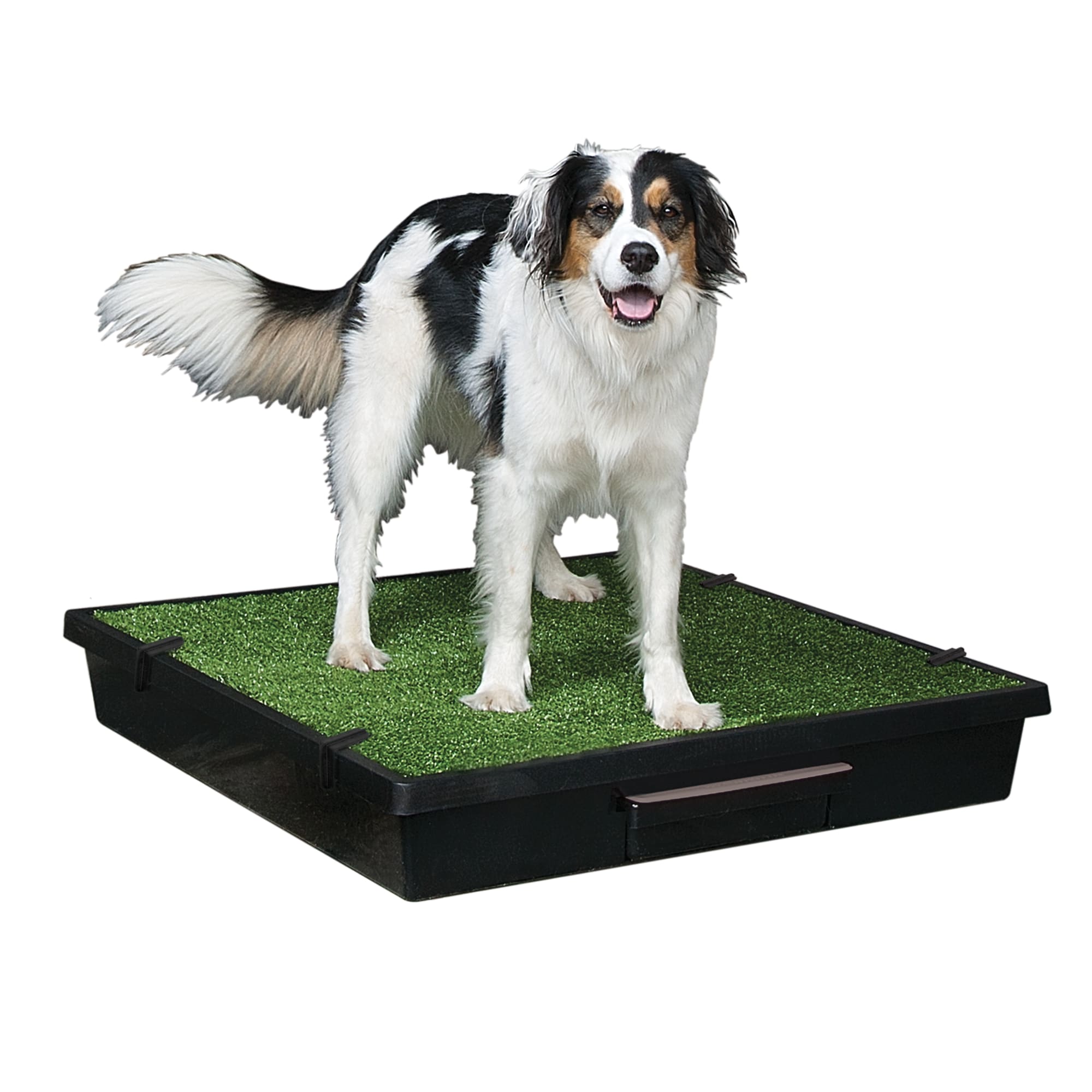 Photos - Other for Dogs Pet Loo Pet Loo Indoor Yard Training System for Dogs, Large, Green TPL083