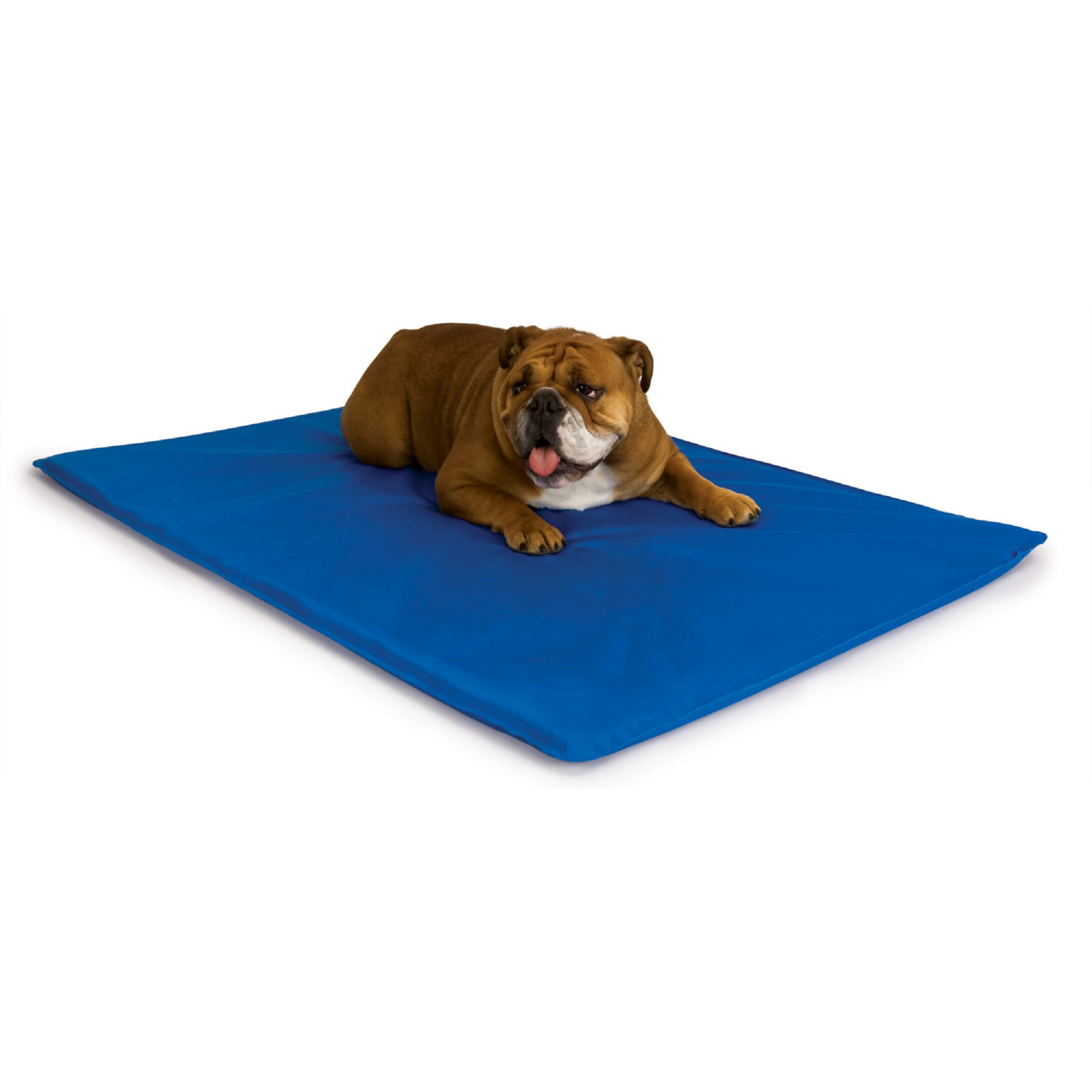 Photos - Bed & Furniture K&H Cool Blue Bed III for Dogs, 22" L X 32" W, Medium, Blue 100213003 