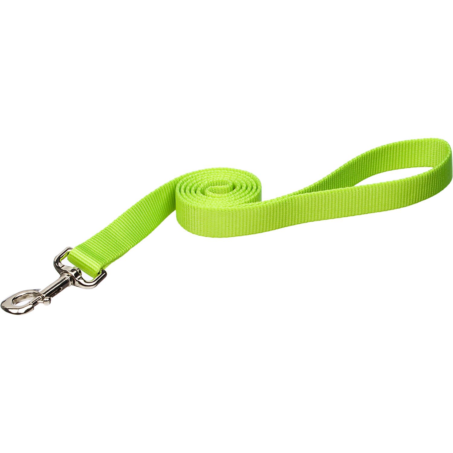 Photos - Collar / Harnesses Coastal Pet Nylon Personalized Dog Leash in Lime, 4' L X 3/8" 