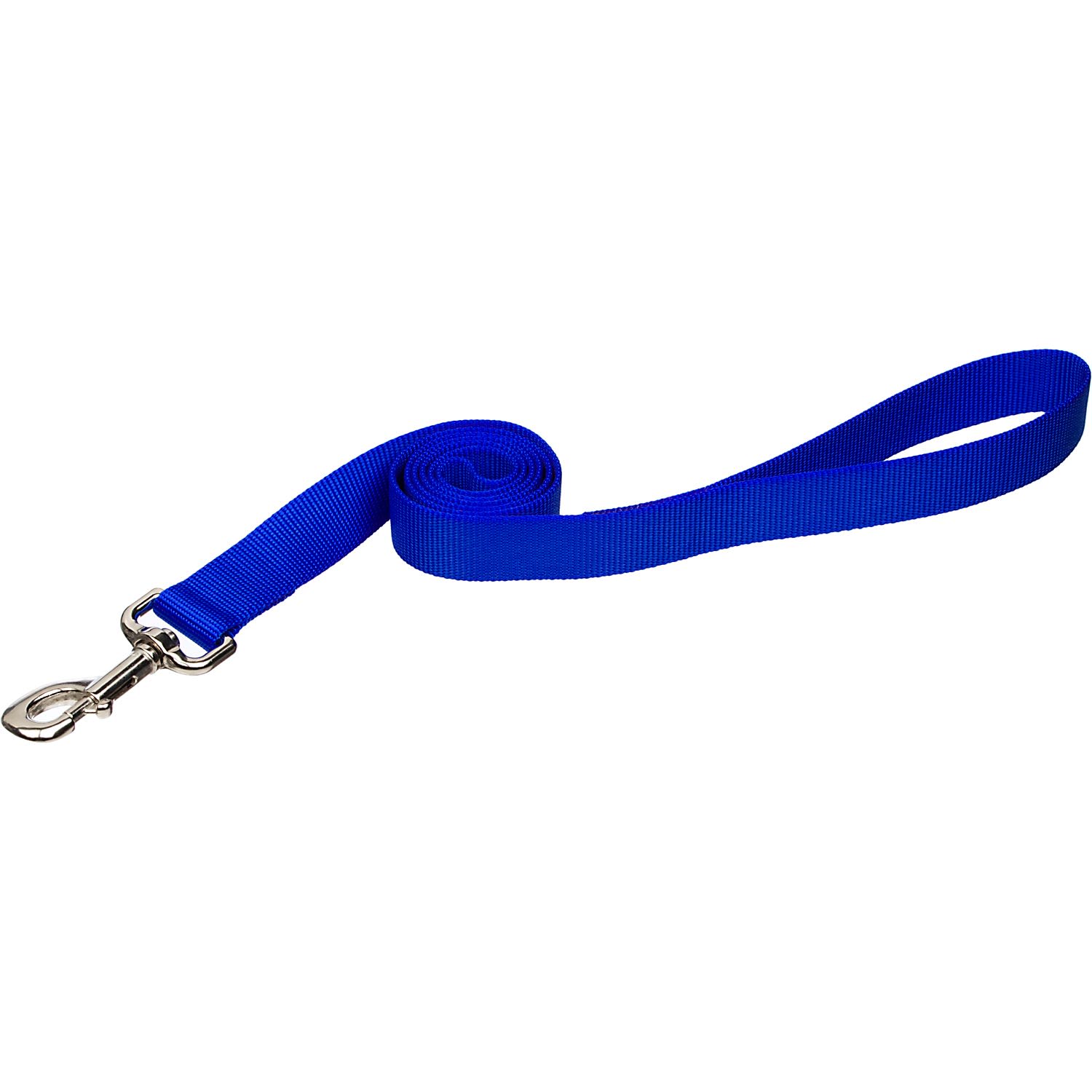 Photos - Collar / Harnesses Coastal Pet Nylon Personalized Dog Leash in Blue, 4' L X 3/8" 