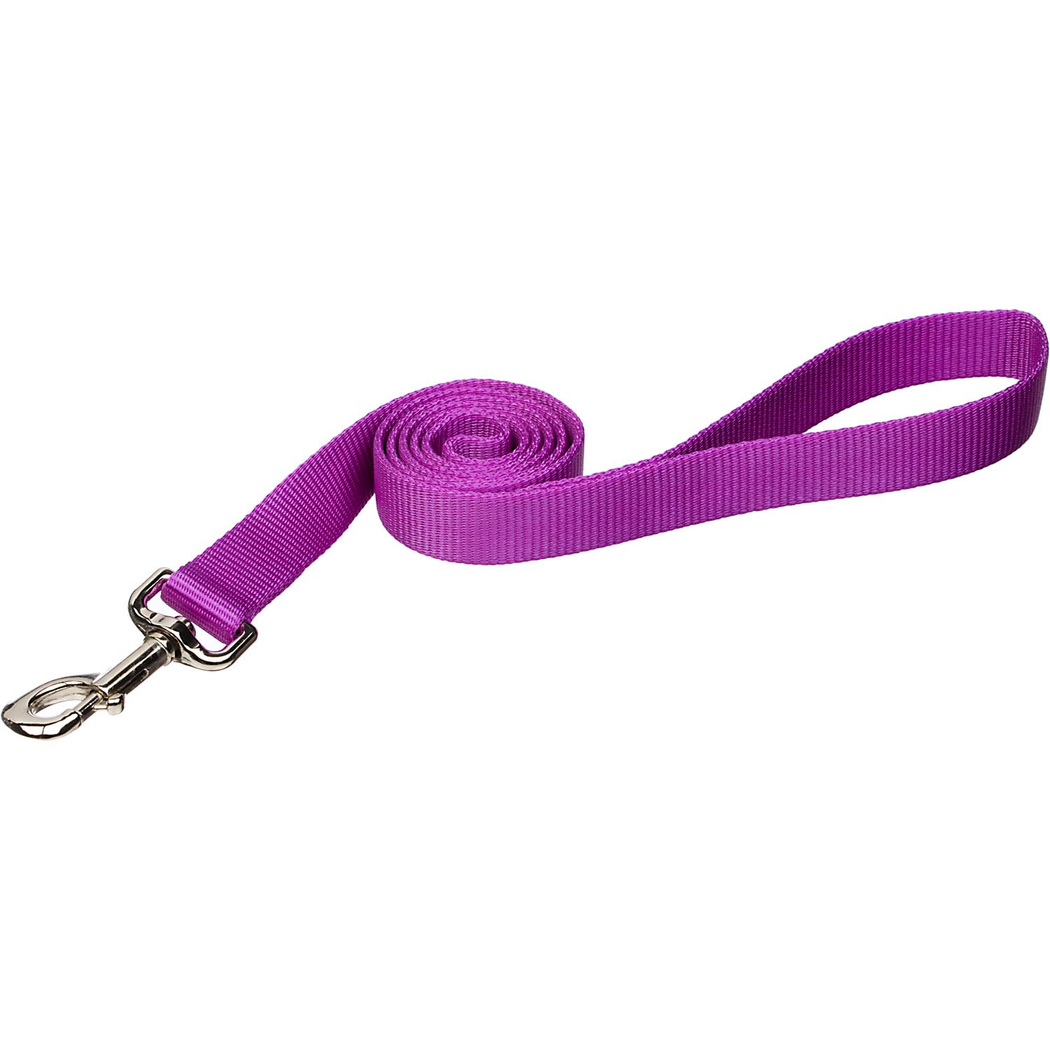 Photos - Collar / Harnesses Coastal Pet Nylon Personalized Dog Leash in Orchid, 4' L X 5/8 
