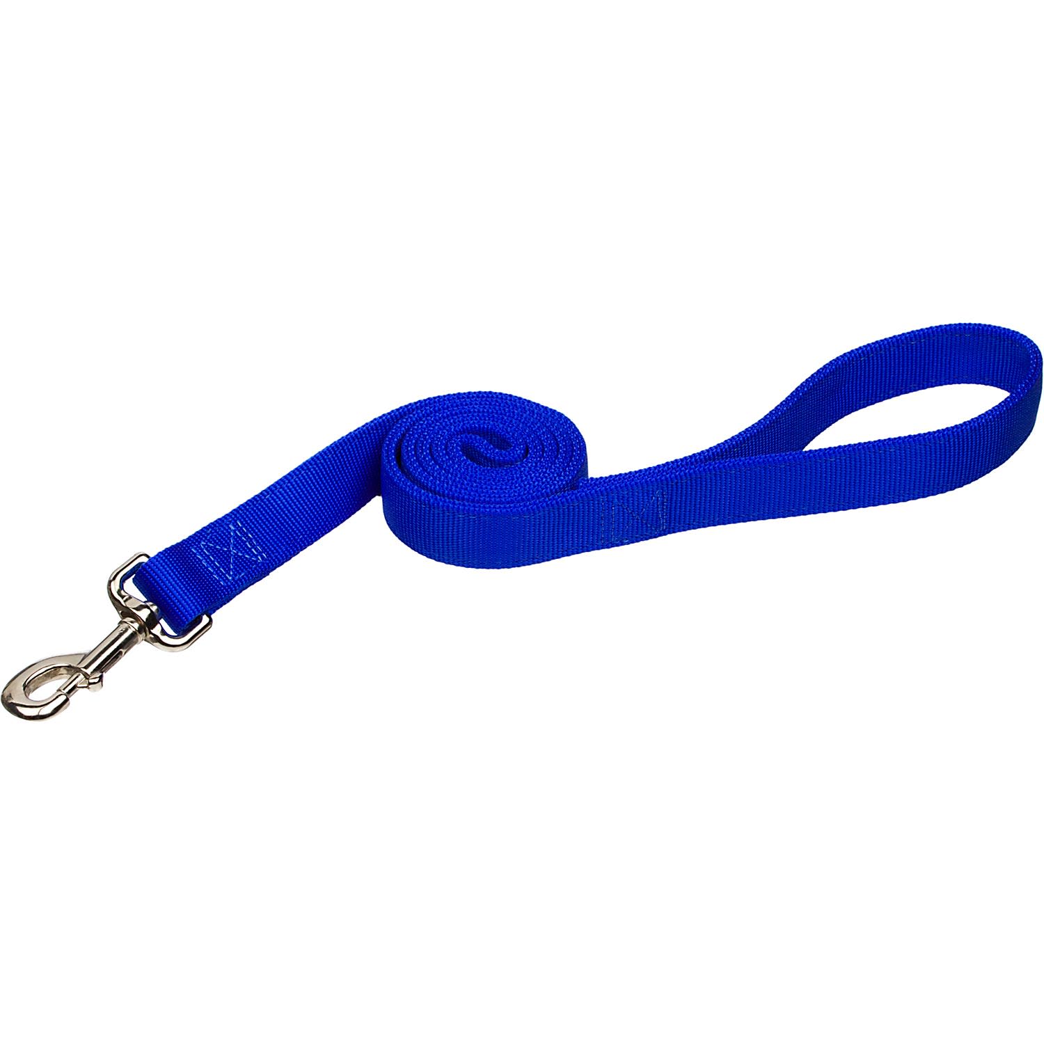 Photos - Collar / Harnesses Coastal Pet Double Ply Nylon Personalized Dog Leash in Blue, 4 