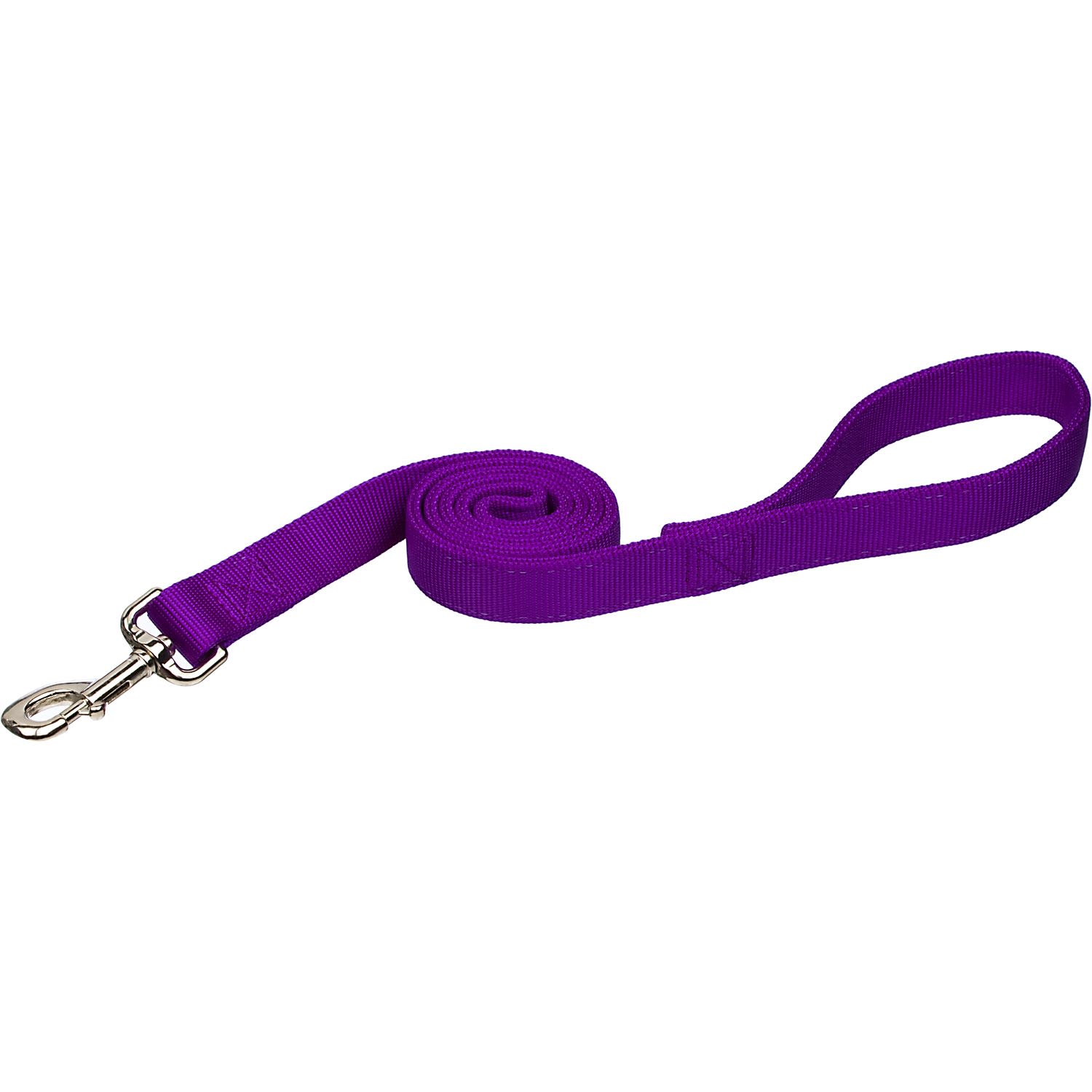 Photos - Collar / Harnesses Coastal Pet Double Ply Nylon Personalized Dog Leash in Purple, 
