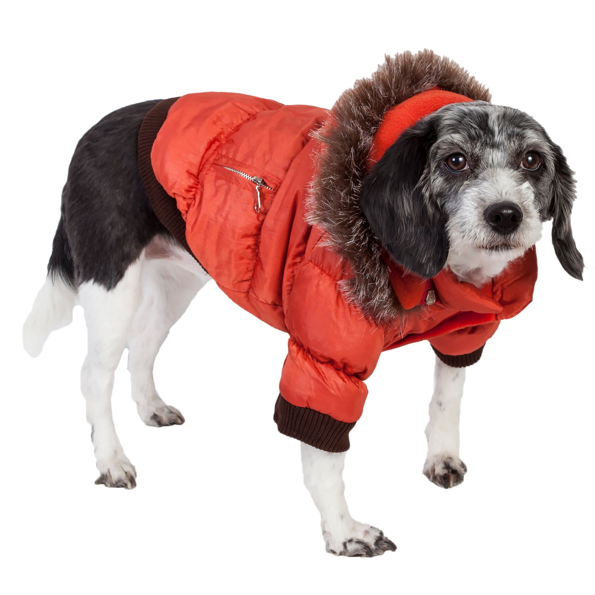 Photos - Dog Clothing Pet Life Metallic Tangerine Dog Parka, X-Small, Brown 1TNXS 
