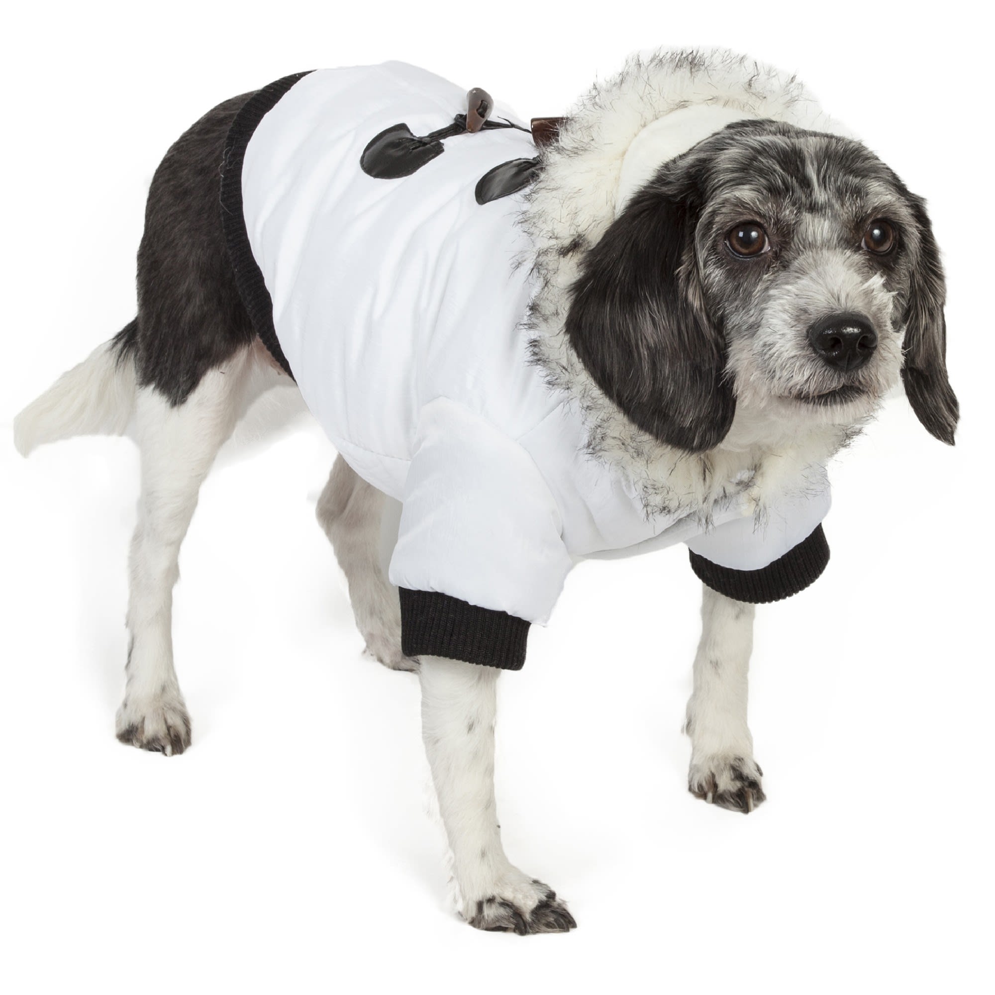 Photos - Dog Clothing Pet Life Aspen Winter-White Fashion Pet Parka Coat, Small, Black 