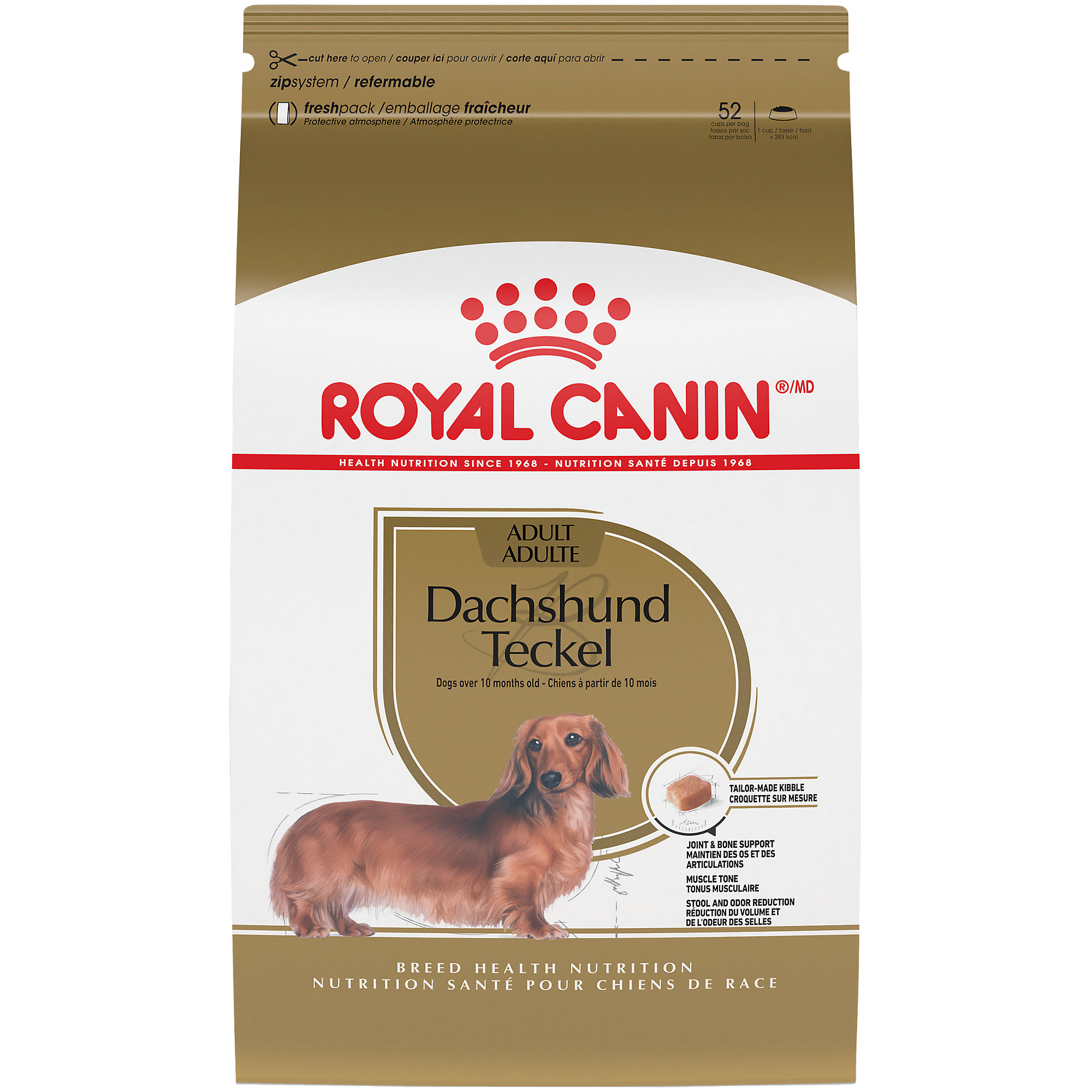 Photos - Dog Food Royal Canin Breed Health Nutrition Dachshund Adult Dry Dog Foo 