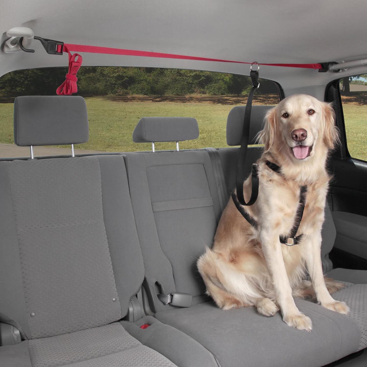 Photos - Dog Food Solvit Solvit Pup Zip Zipline Dog Seat Belt, 72 IN, Black / Red 62354