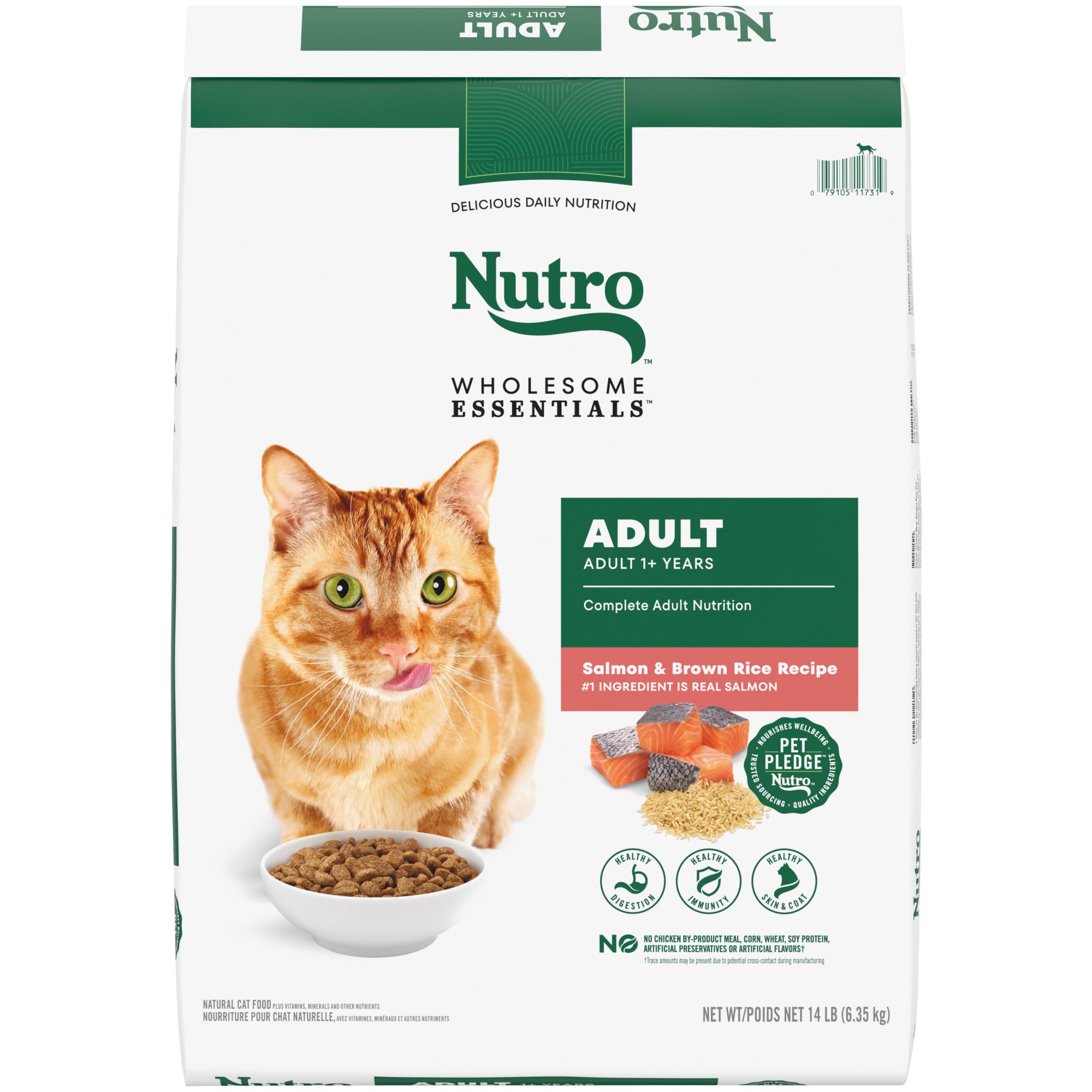 Nutro Wholesome Essentials Adult Salmon & Brown Rice Recipe Natural Dry Cat Food, 14 lbs -  10242175