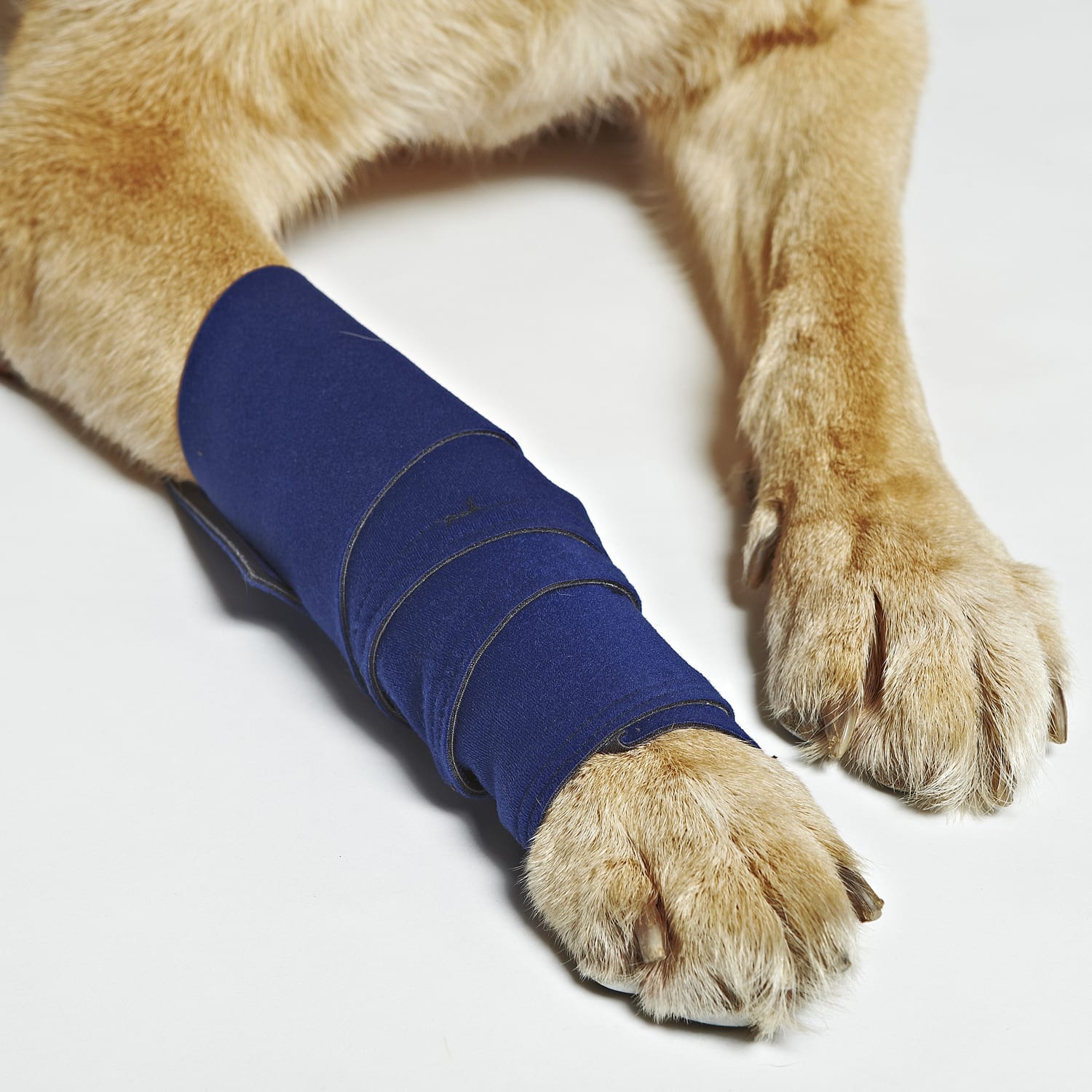 Photos - Other Pet Supplies Healers Medical Leg Wraps with Gauze Pads, Medium, Blue 355076 