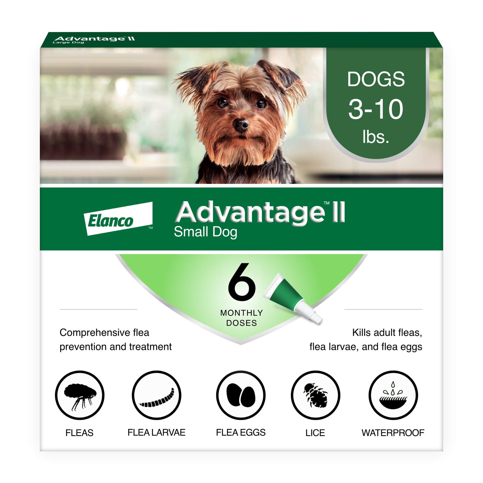 Photos - Dog Medicines & Vitamins Bayer Advantage II Advantage II Vet-Recommended Flea Treatment & Prevention for 