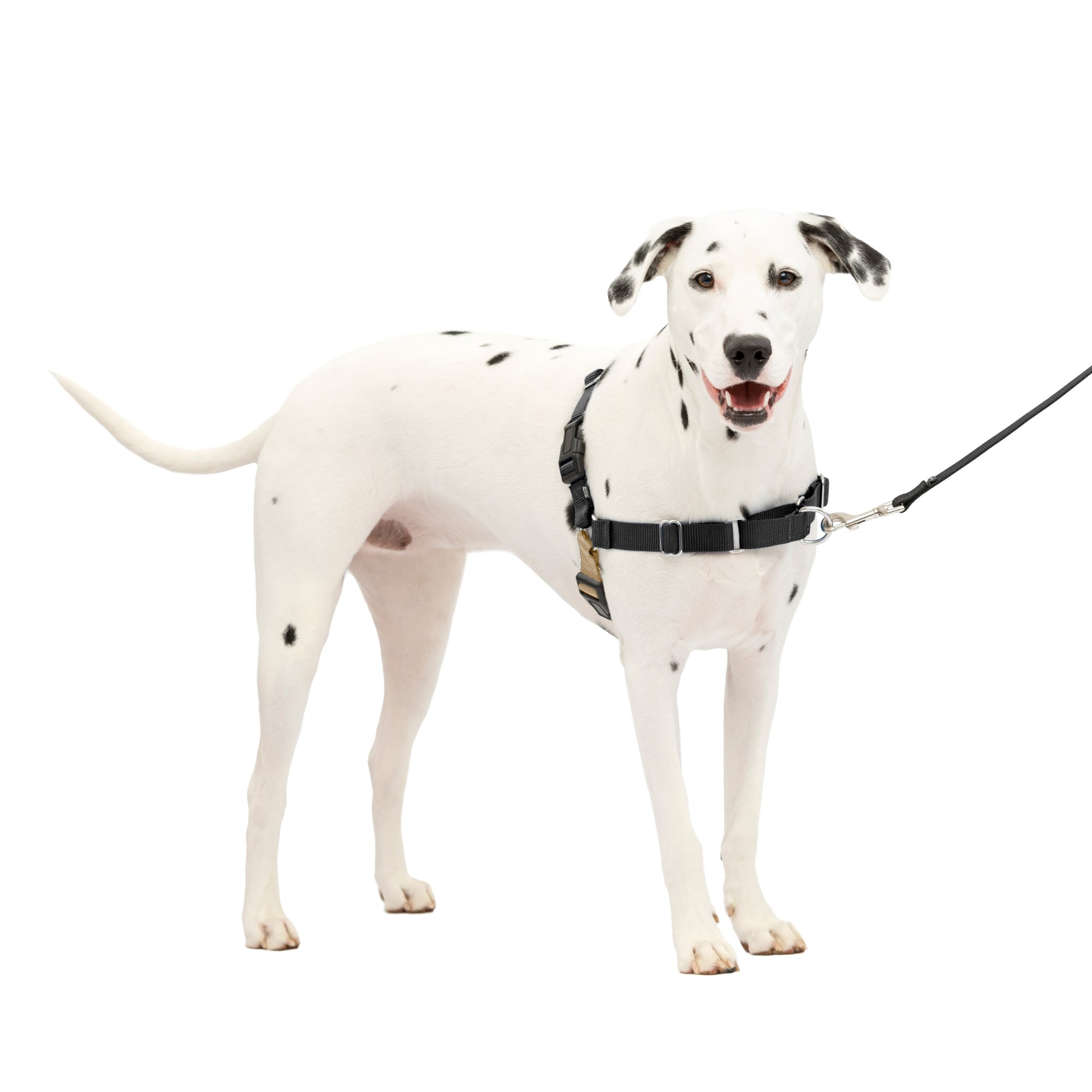 Photos - Collar / Harnesses PetSafe Easy Walk Black Dog Harness, Medium/Large, Black EWH-HC-M/ 