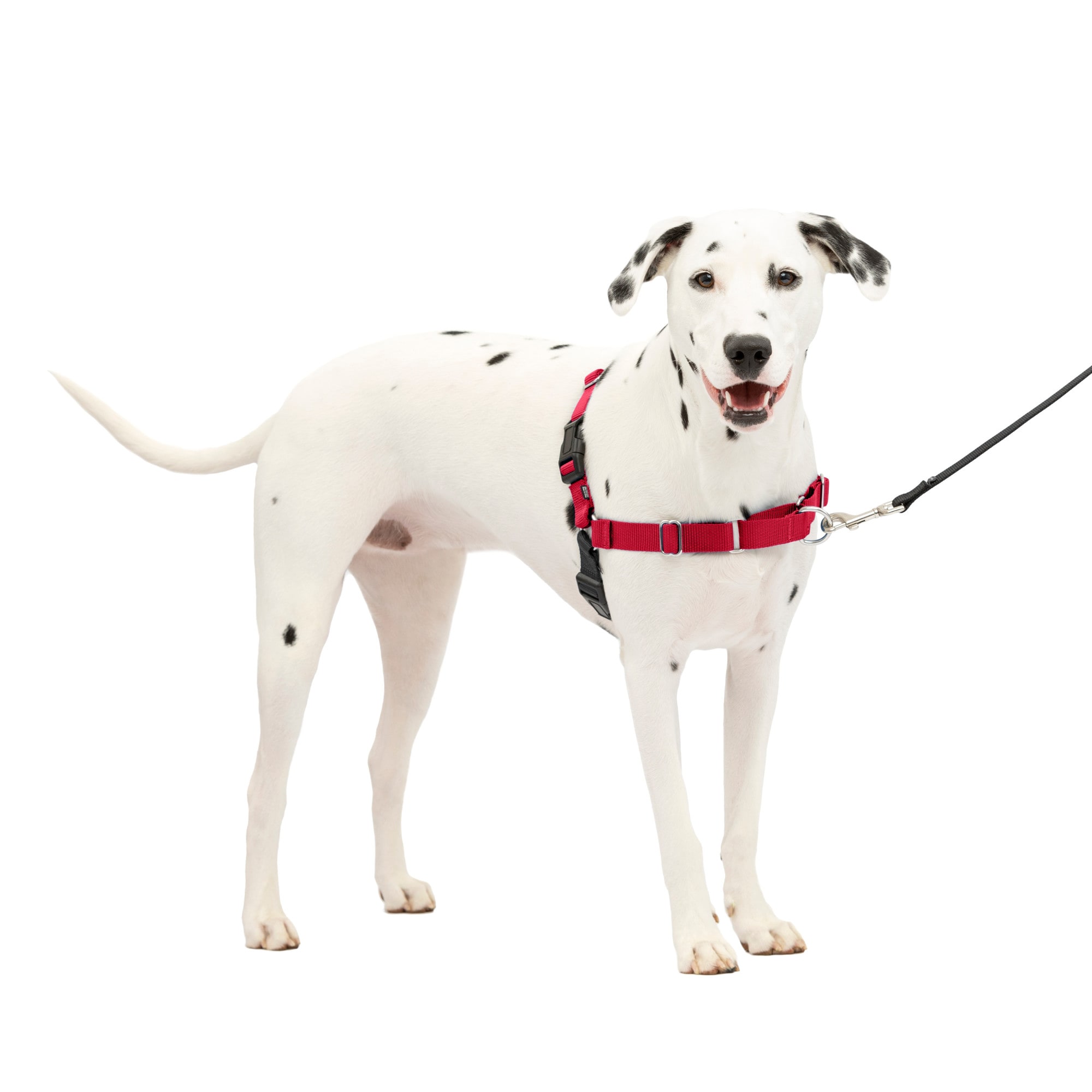 Photos - Collar / Harnesses PetSafe Easy Walk Harness in Red, Medium/Large, Red EWH-HC-M/L-RED 