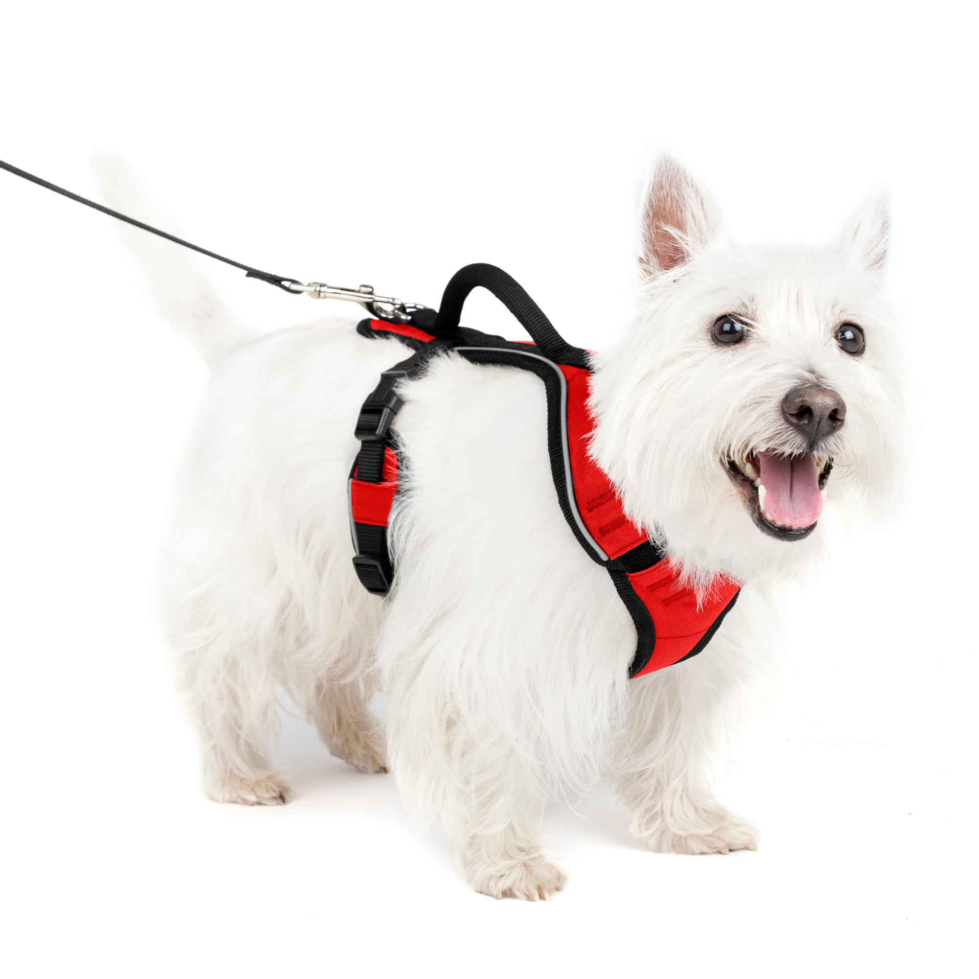 Photos - Collar / Harnesses PetSafe EasySport Red Dog Harness, Small, 19" - 27" Girth, Red ESP 