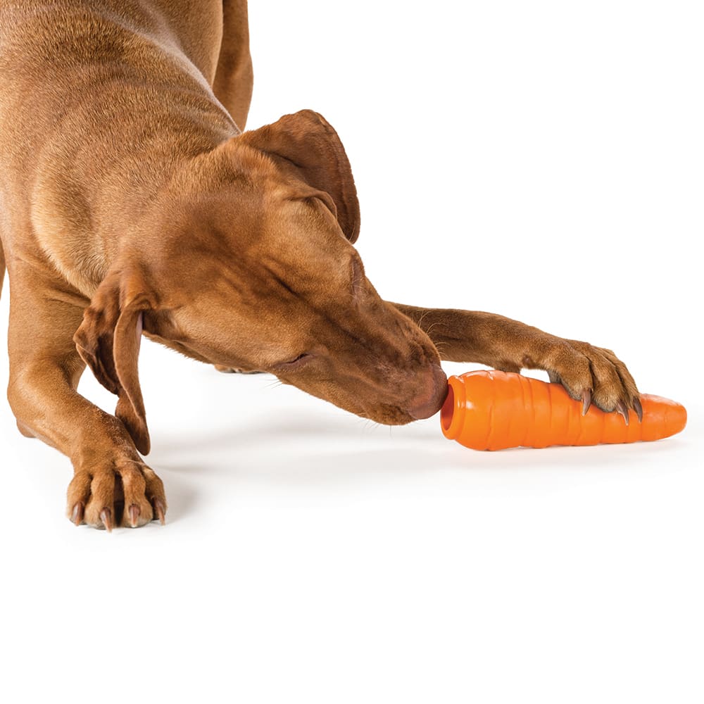 Planet Dog Orbee-Tuff Carrot Dog Toy
