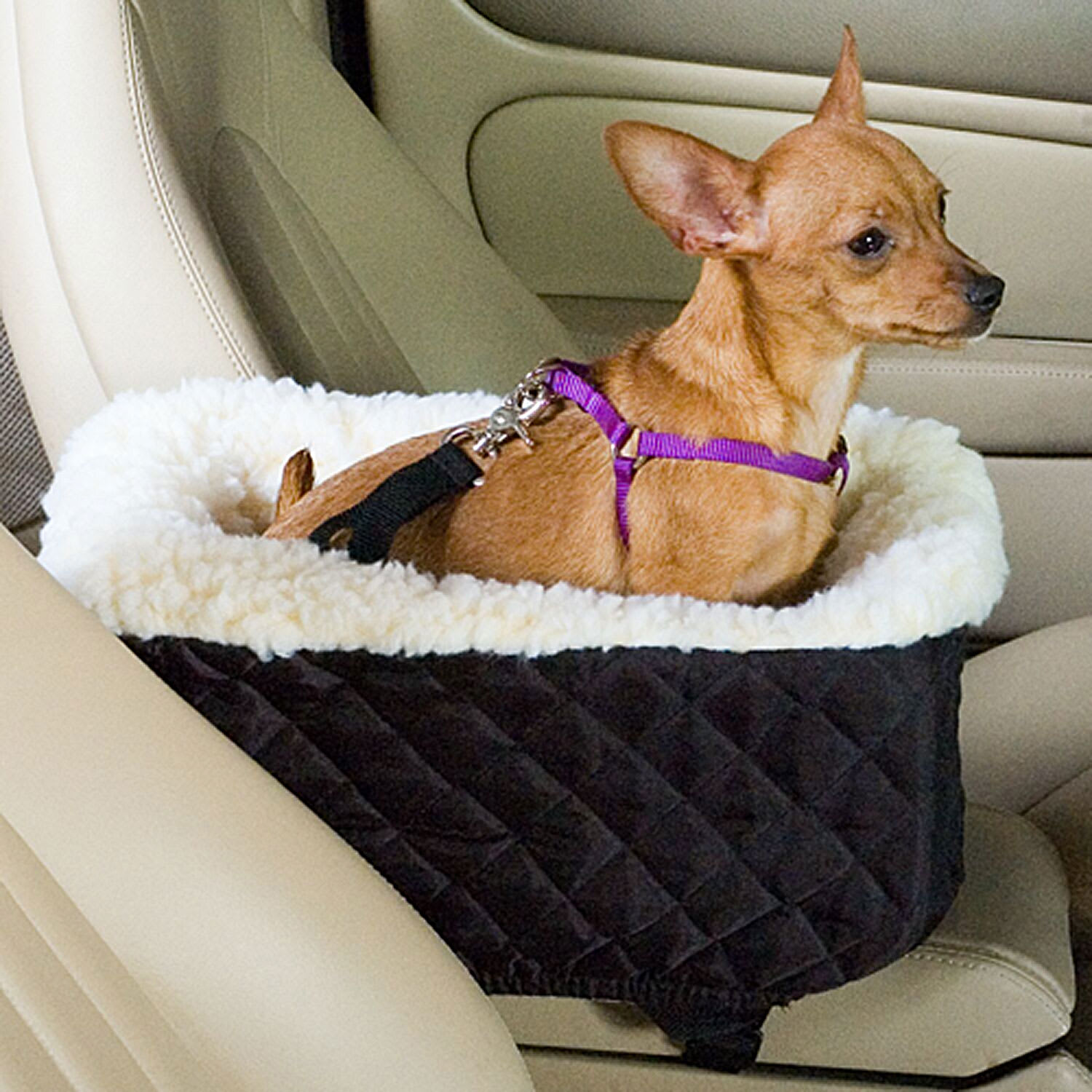 UPC 729053890009 product image for Snoozer Black Pet Car Seat Console Lookout, Small, Black / Off-White | upcitemdb.com