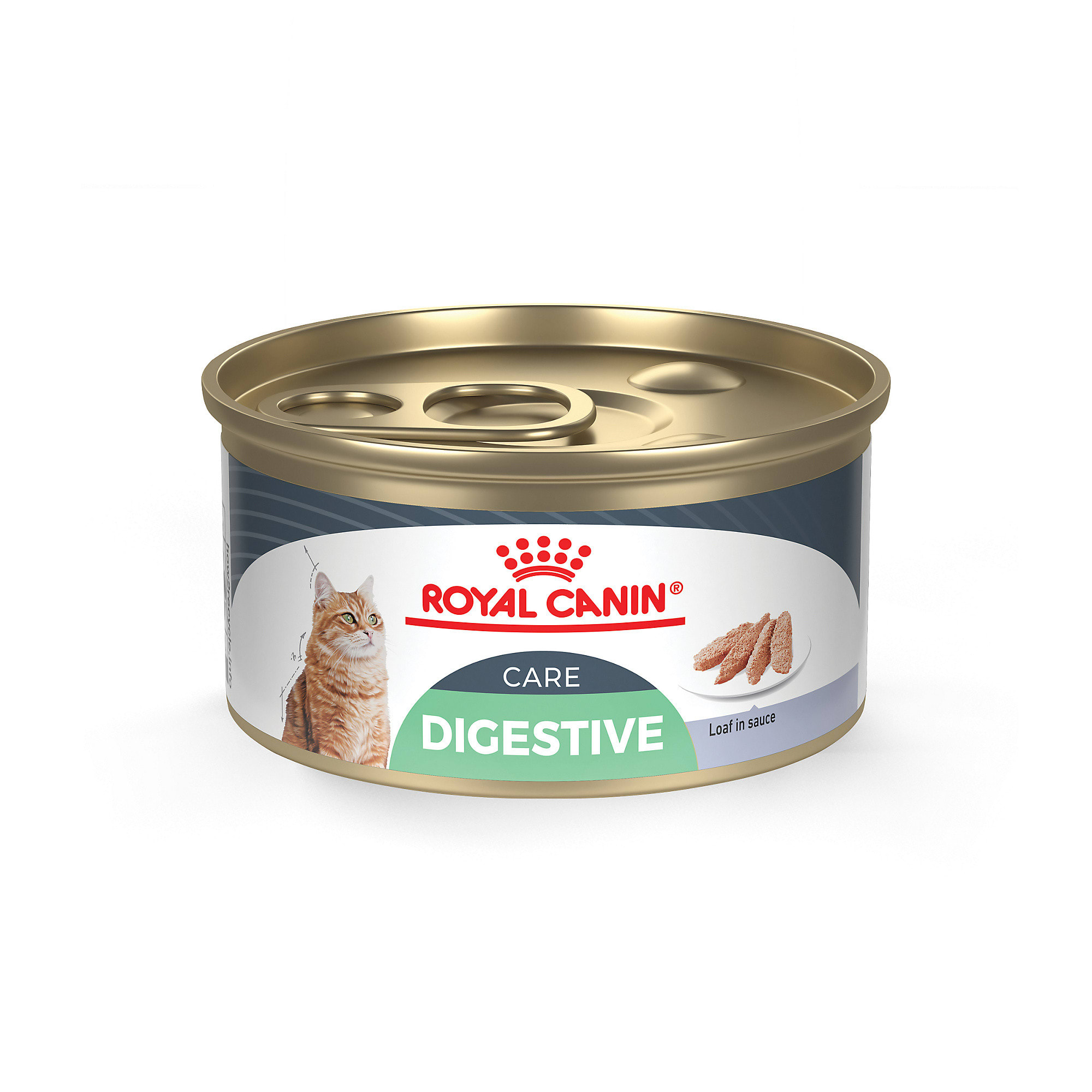 UPC 030111911568 product image for Royal Canin Feline Care Nutrition Digest Sensitive Loaf in Sauce Canned Cat Food | upcitemdb.com