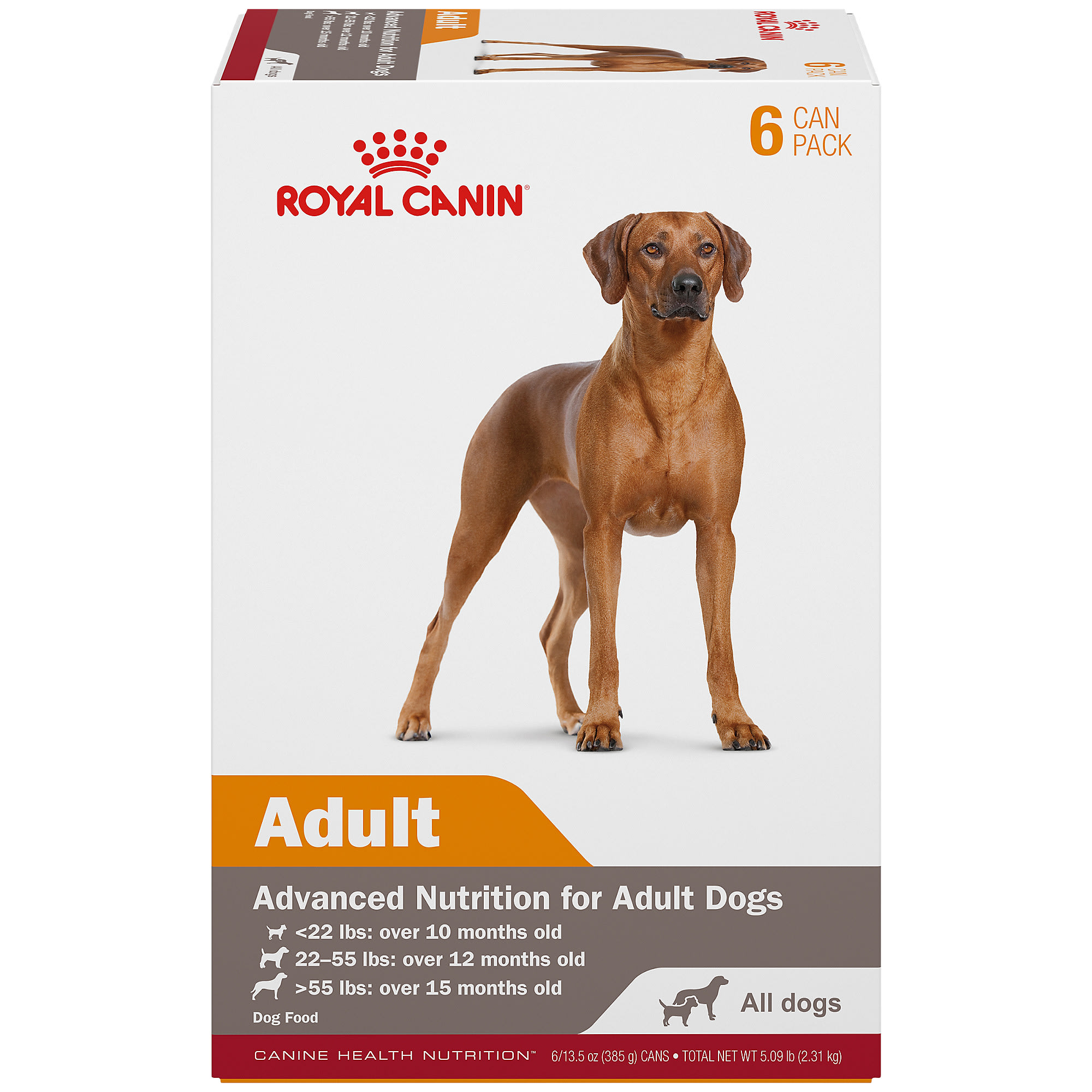 Royal Canin Canine Health Nutrition Adult In Gel Canned Dog Food, 13.5 oz., Pack of 6