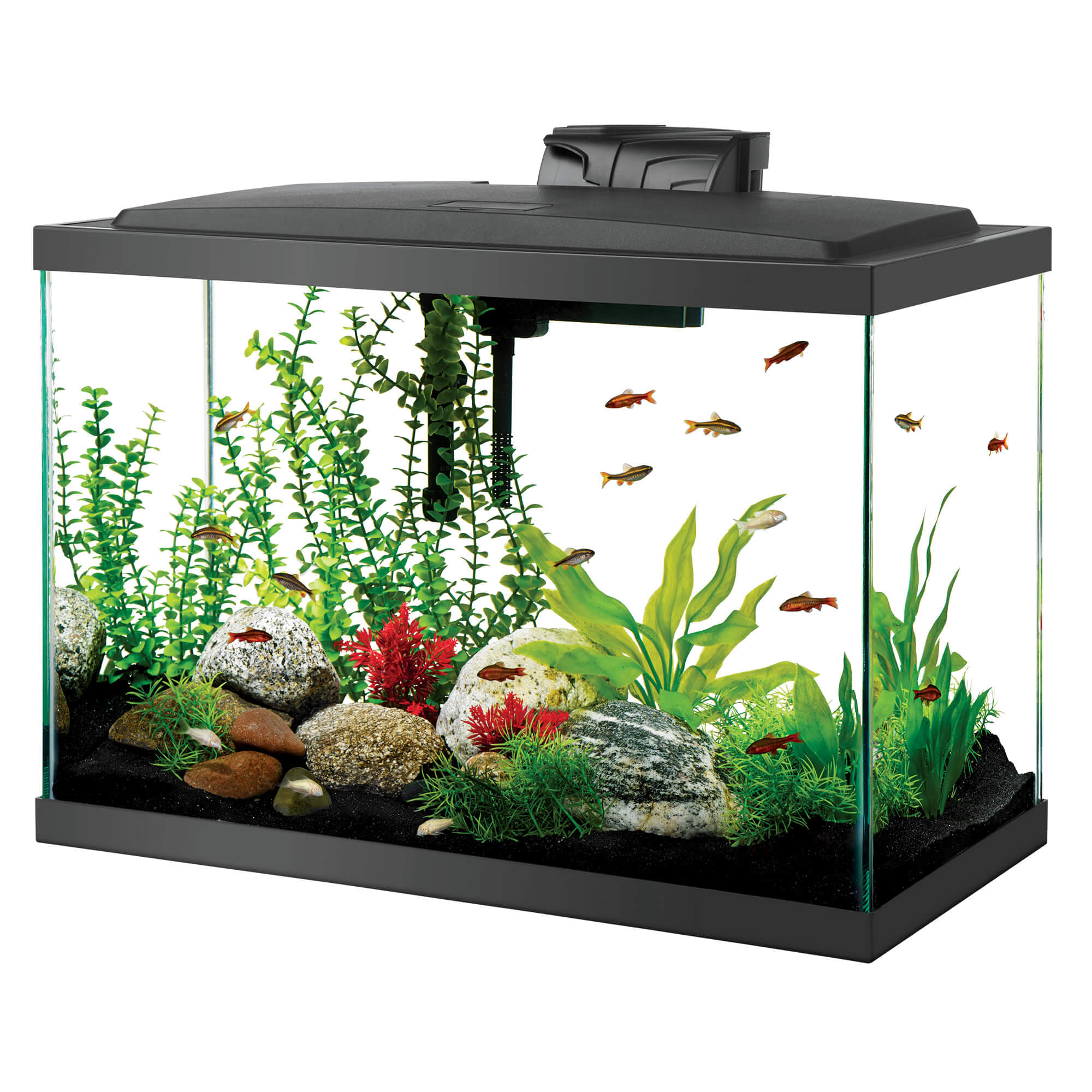 UPC 015905000499 product image for Aqueon Black Tall LED Aquarium Kit, 20 Gallon | upcitemdb.com