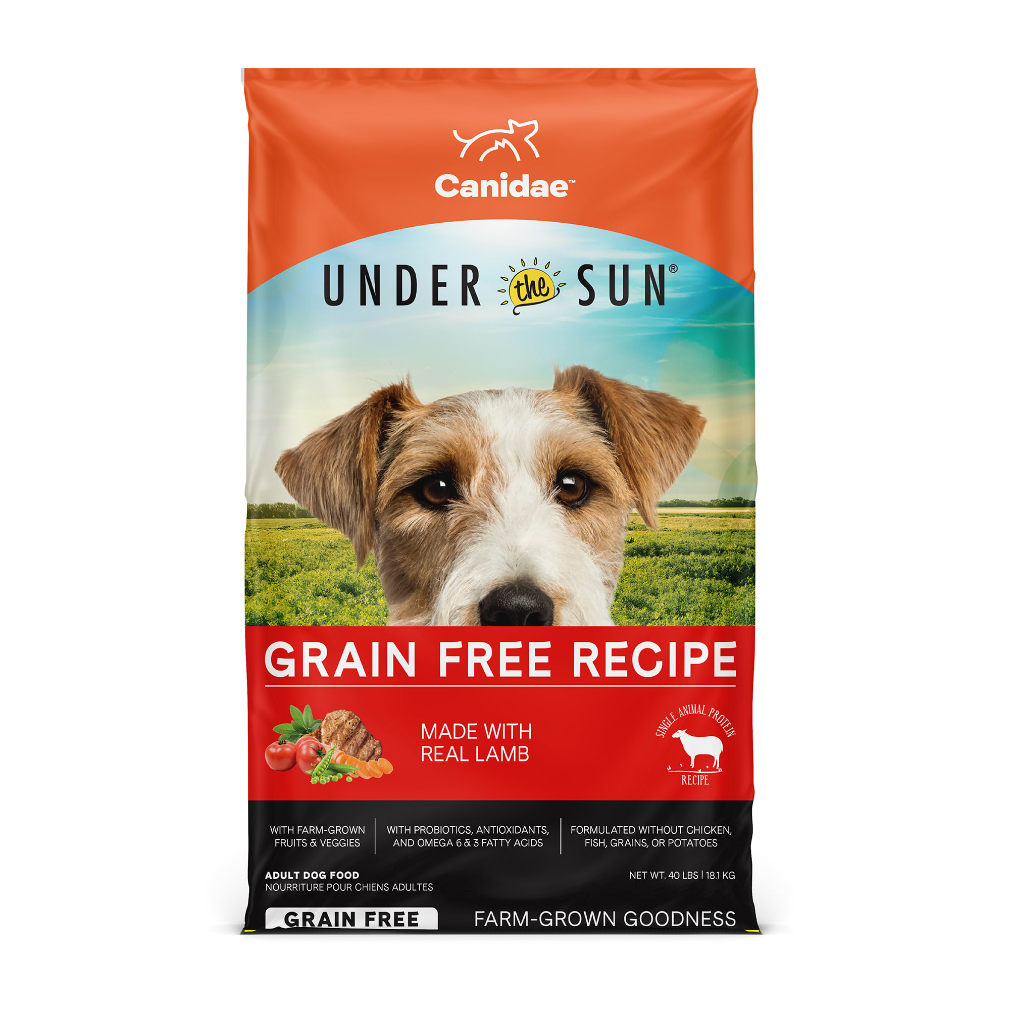 Photos - Dog Food Canidae Under the Sun Grain Free Lamb Recipe Adult Dry , 4 