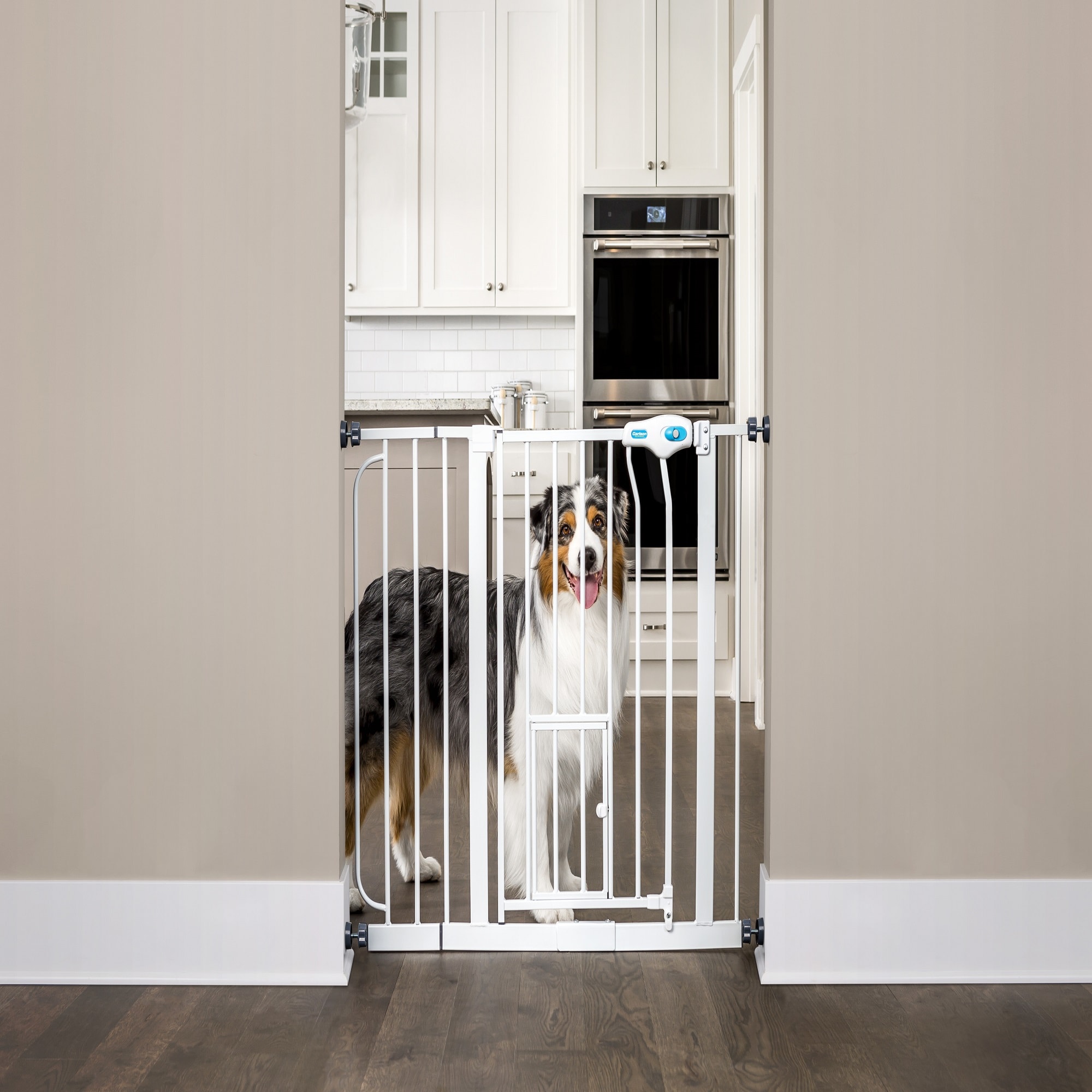 Photos - Pet Carrier / Crate Carlson Pet Products Carlson Pet Products Extra Wide Walk-Thru Pet Gate wi