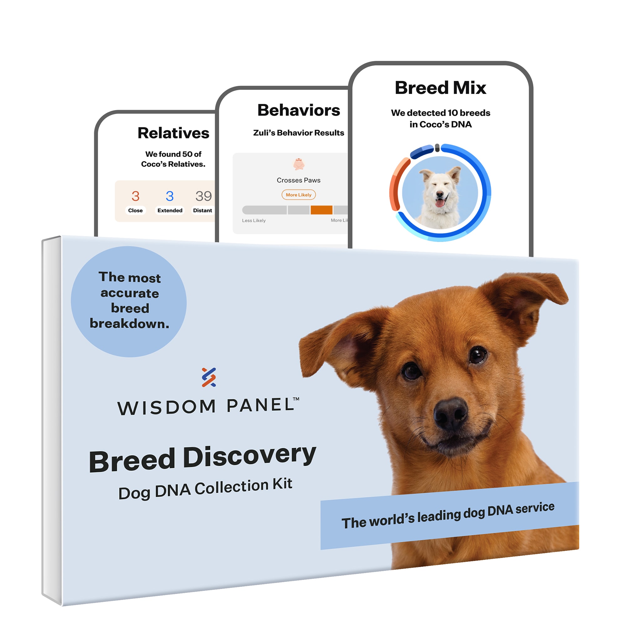 Wisdom Panel Dog Breed Discovery DNA Test Kit