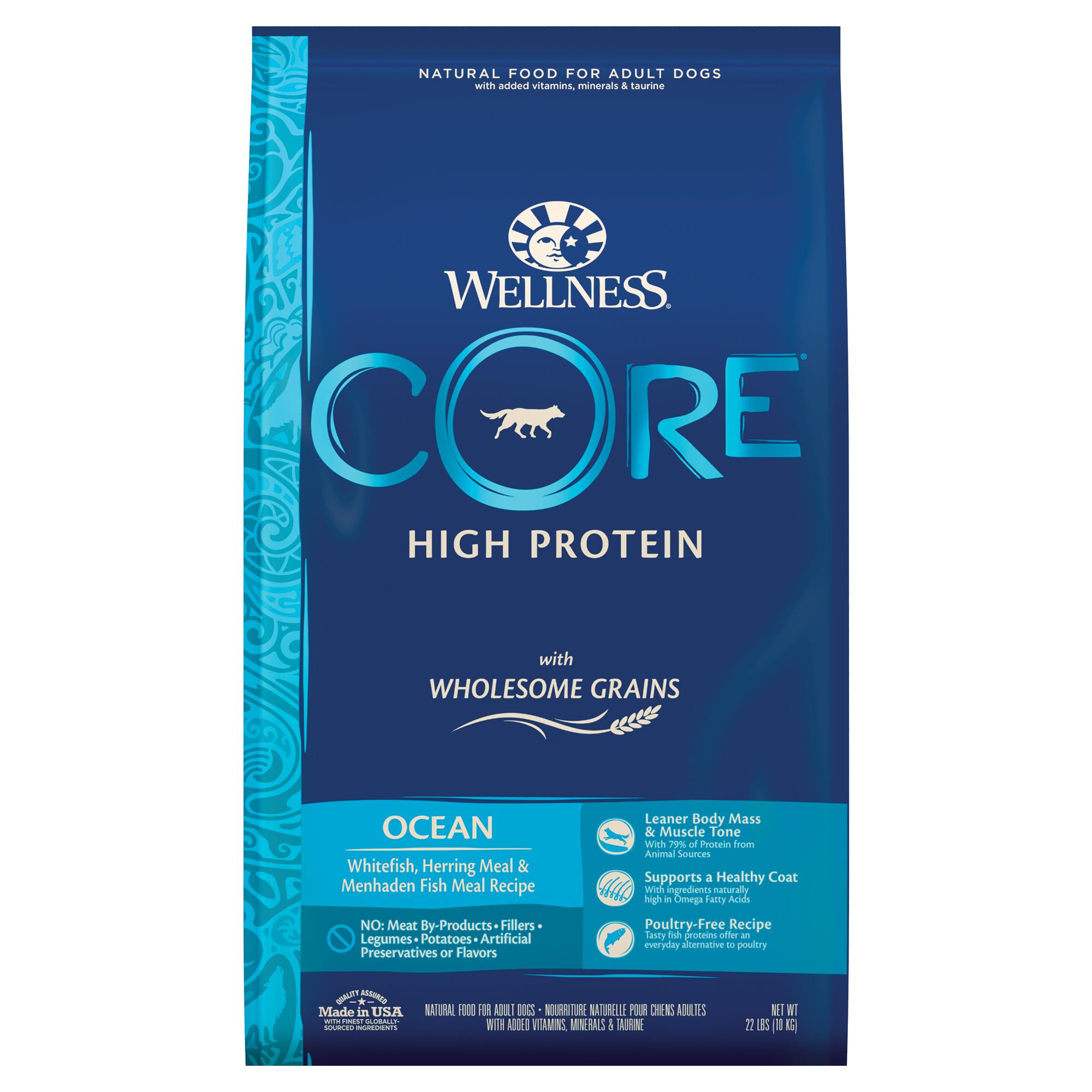Photos - Dog Food Wellness CORE Wholesome Grains Ocean Recipe Dry , 22 lbs. 