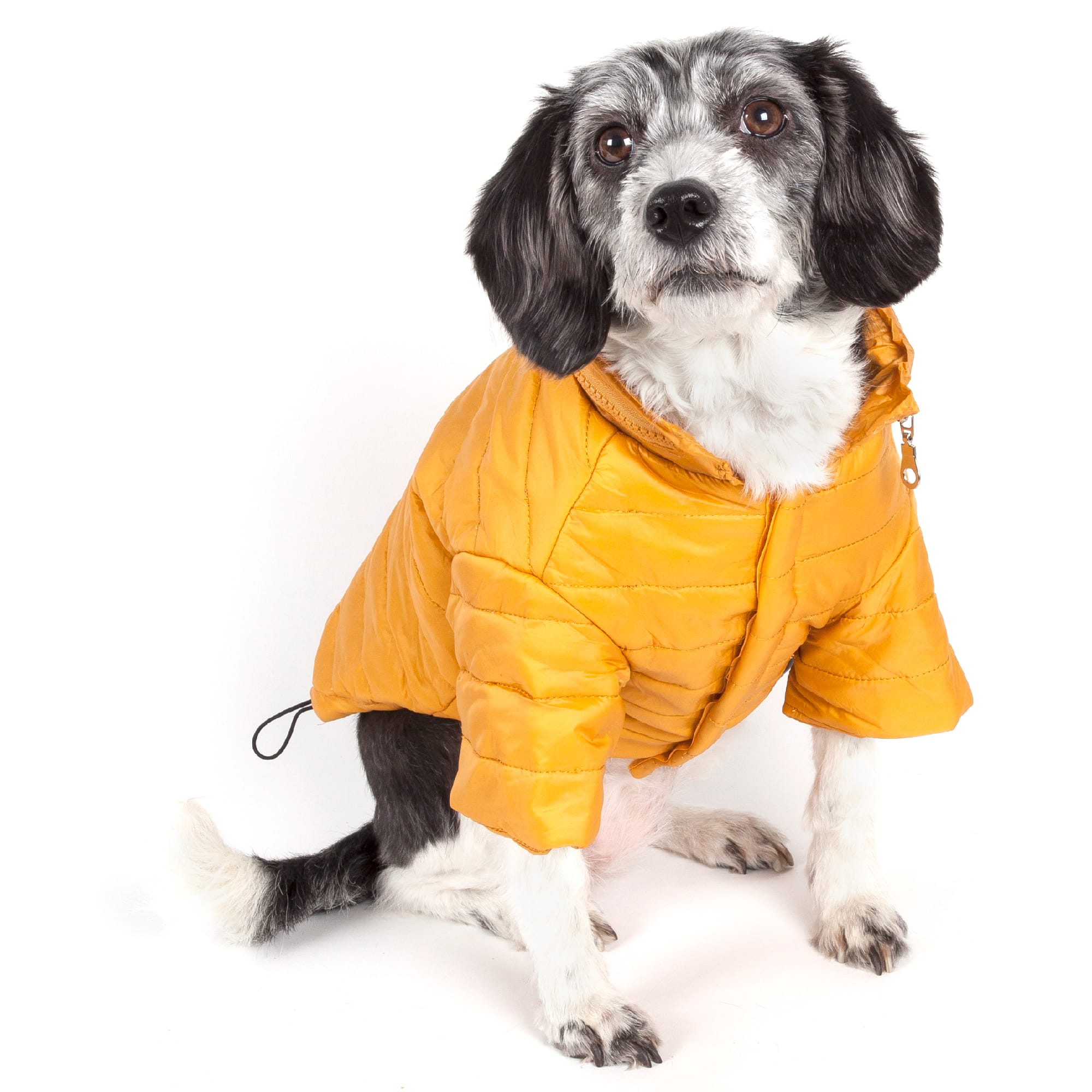 Photos - Dog Clothing Pet Life Yellow Lightweight Adjustable Sporty Avalanche Pet Coat, 