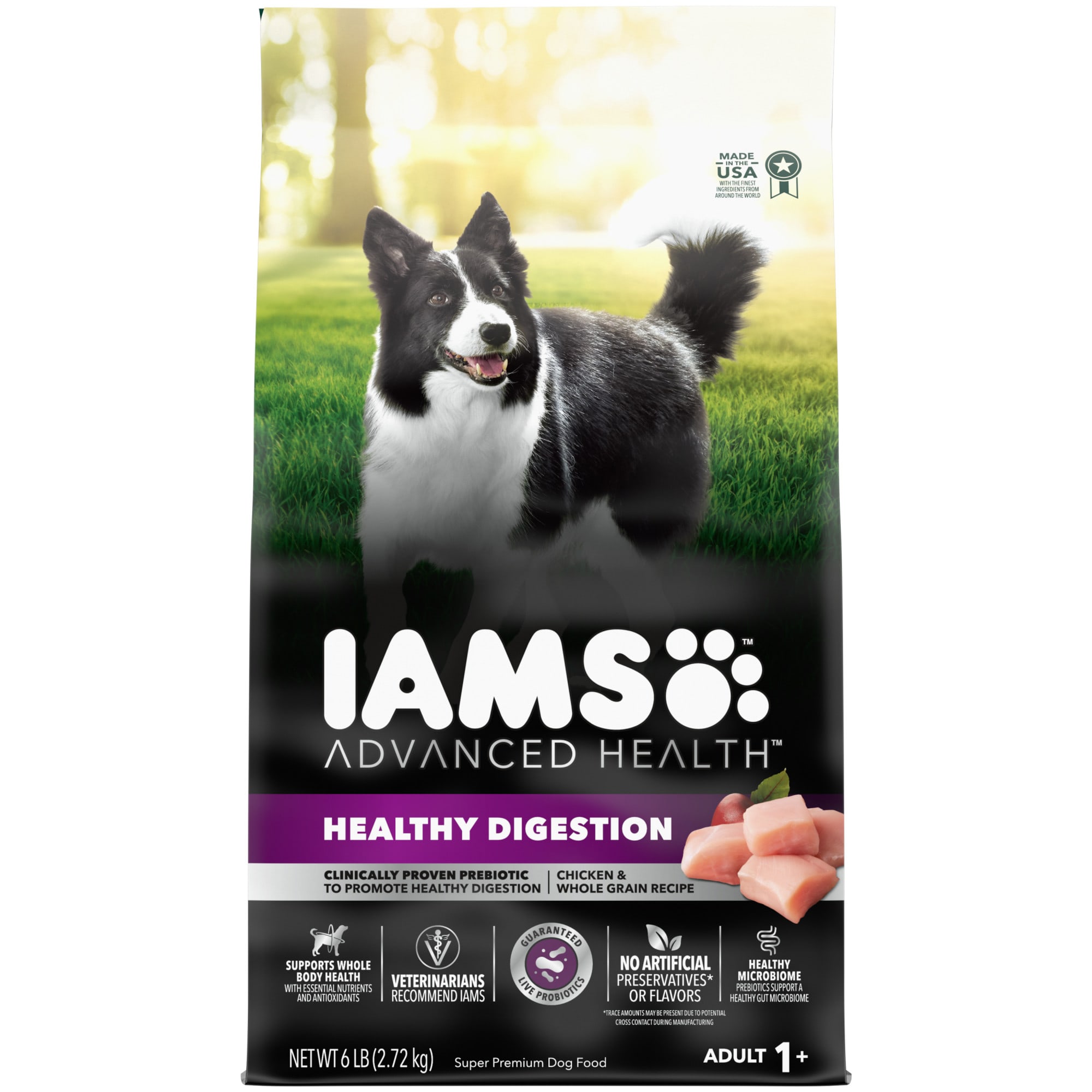 UPC 019014805747 product image for Iams Advanced Health Digestion with Real Chicken Adult Dry Dog Food, 6 lbs. | upcitemdb.com