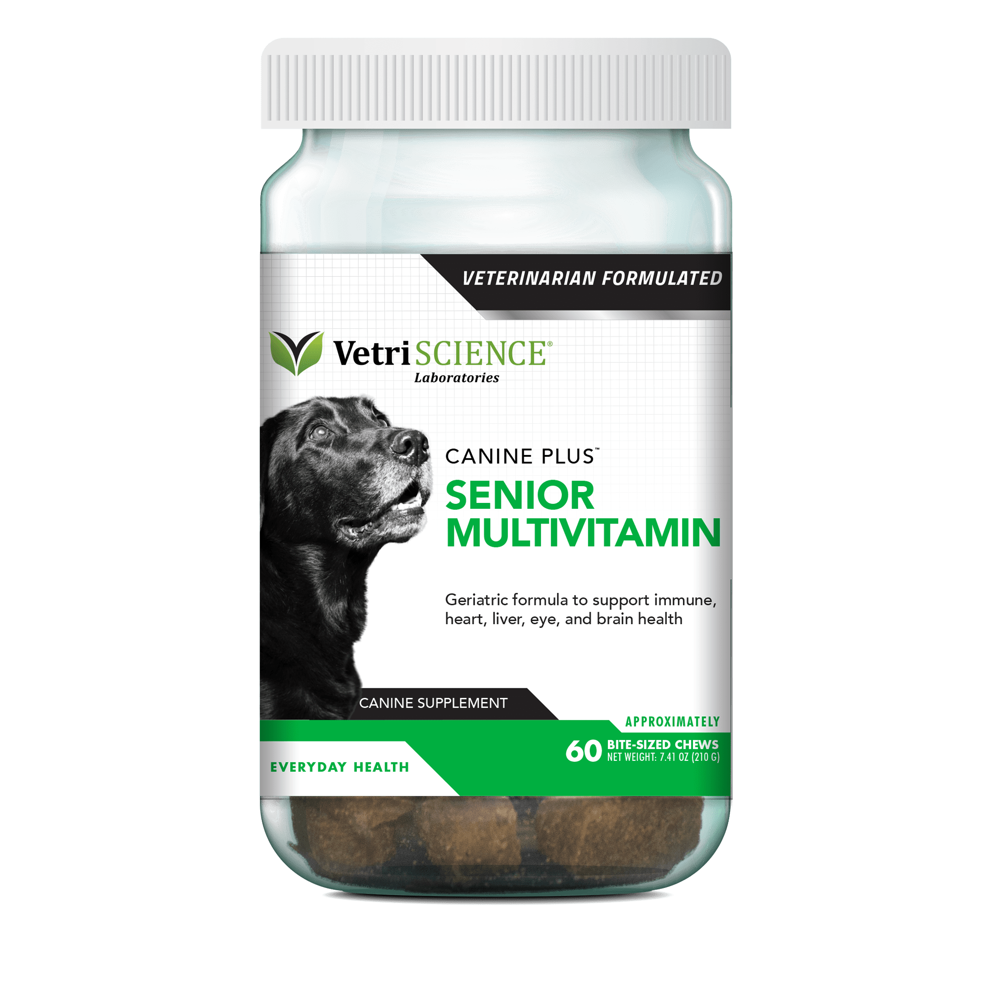 Photos - Dog Medicines & Vitamins VetriSCIENCE Canine Plus Senior Multivitamin Everyday Health 