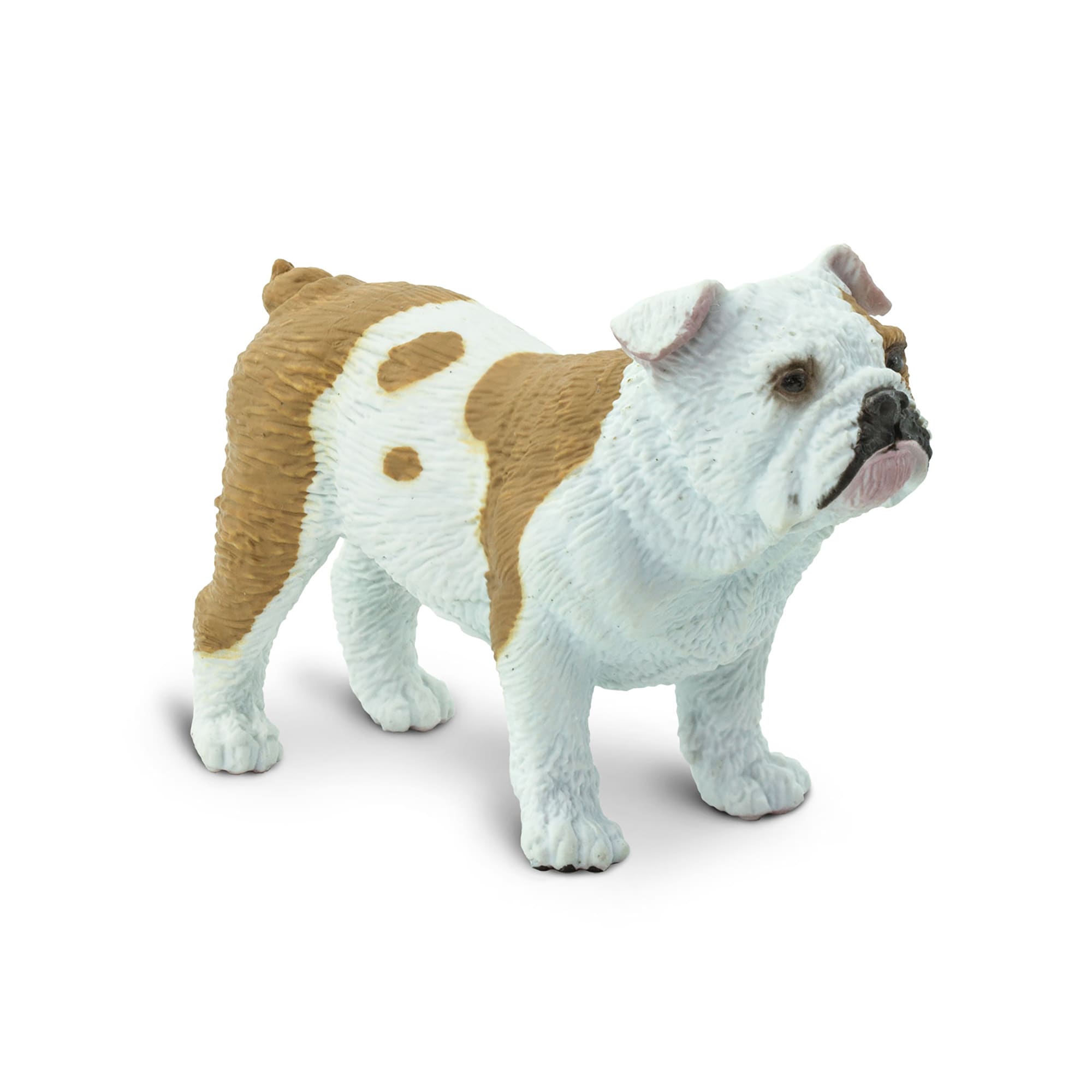 UPC 095866000011 product image for Safari Ltd Bulldog Toy Figure, .06 LB, Multi-Color | upcitemdb.com