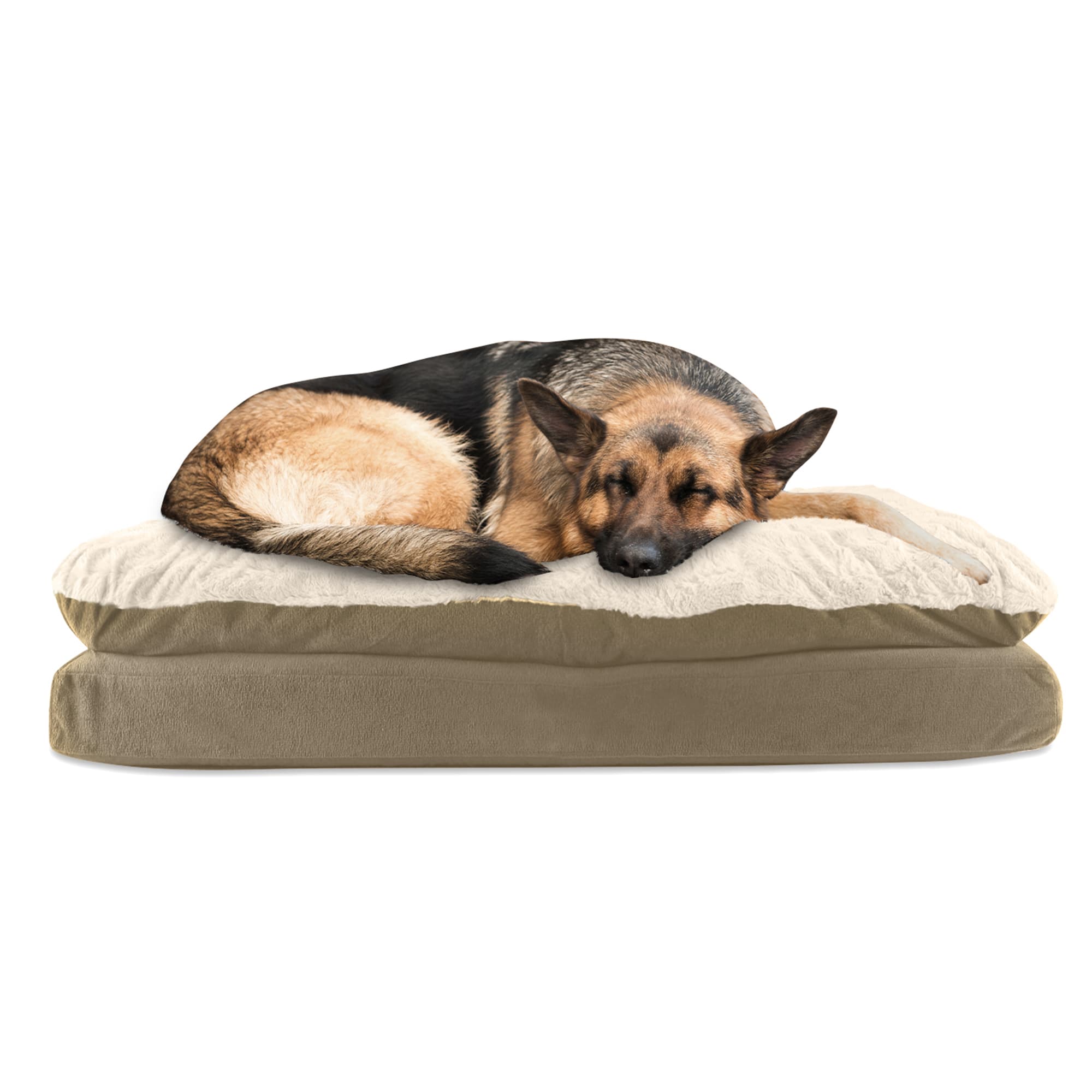Photos - Dog Bed / Basket Canine Creations Mushroom Rectangle Dog Bed, 40" L X 30" 