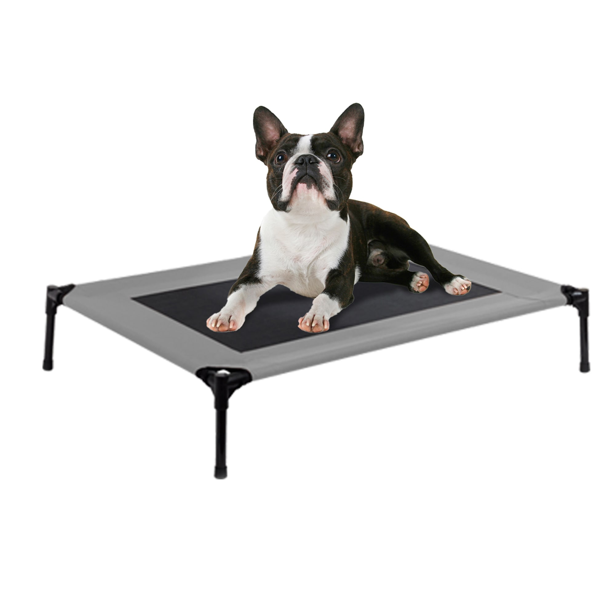 Photos - Bed & Furniture Solar-Tec Solar Tec Solar Tec Gray Elevated Dog Bed, 24" L X 18" W X 7" H, Small, Gr 
