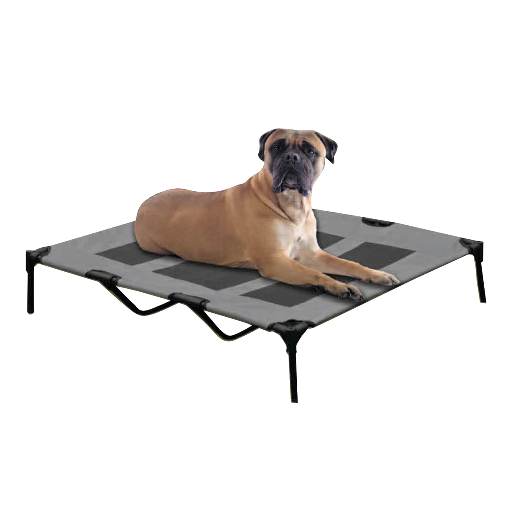Photos - Bed & Furniture Solar-Tec Solar Tec Solar Tec Gray Elevated Dog Bed, 48" L X 36" W X 9" H, X-Large, 