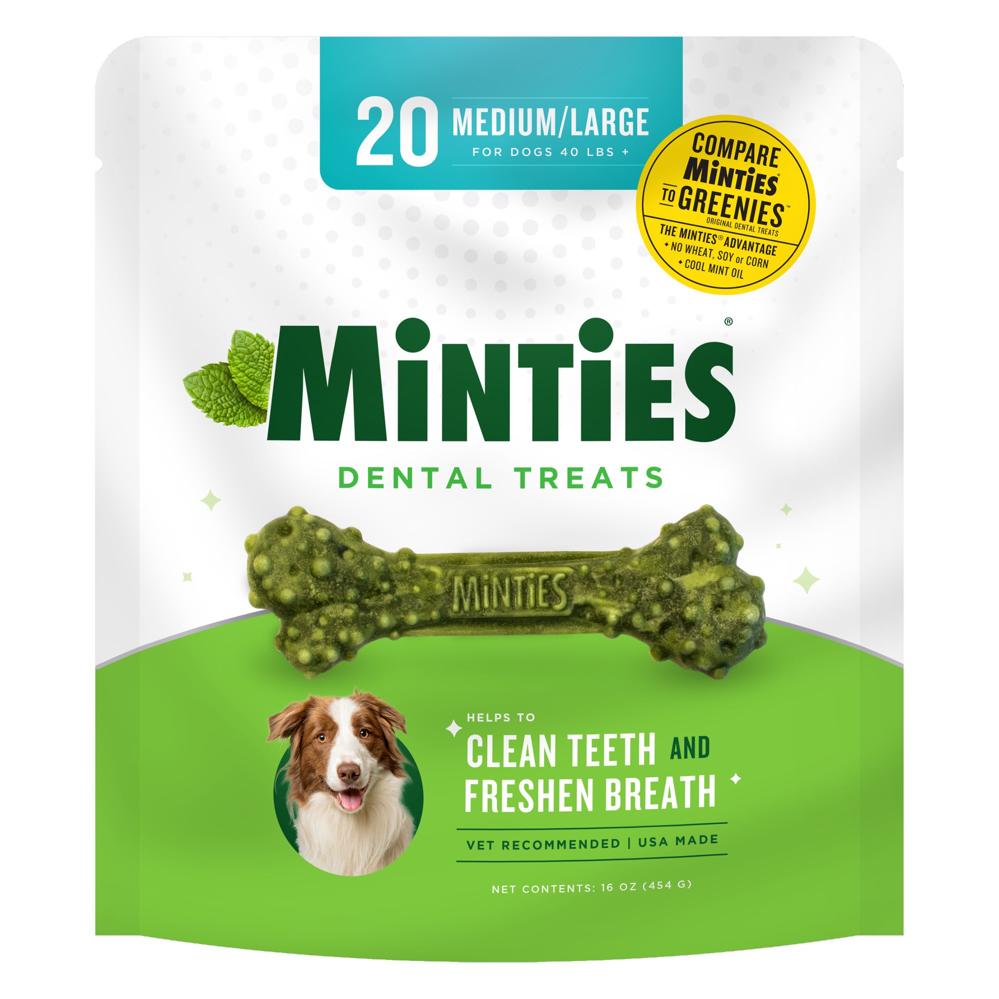 Photos - Dog Food Minties Minties Medium/Large Dental Bone Dog Treats, 16 oz. 80061