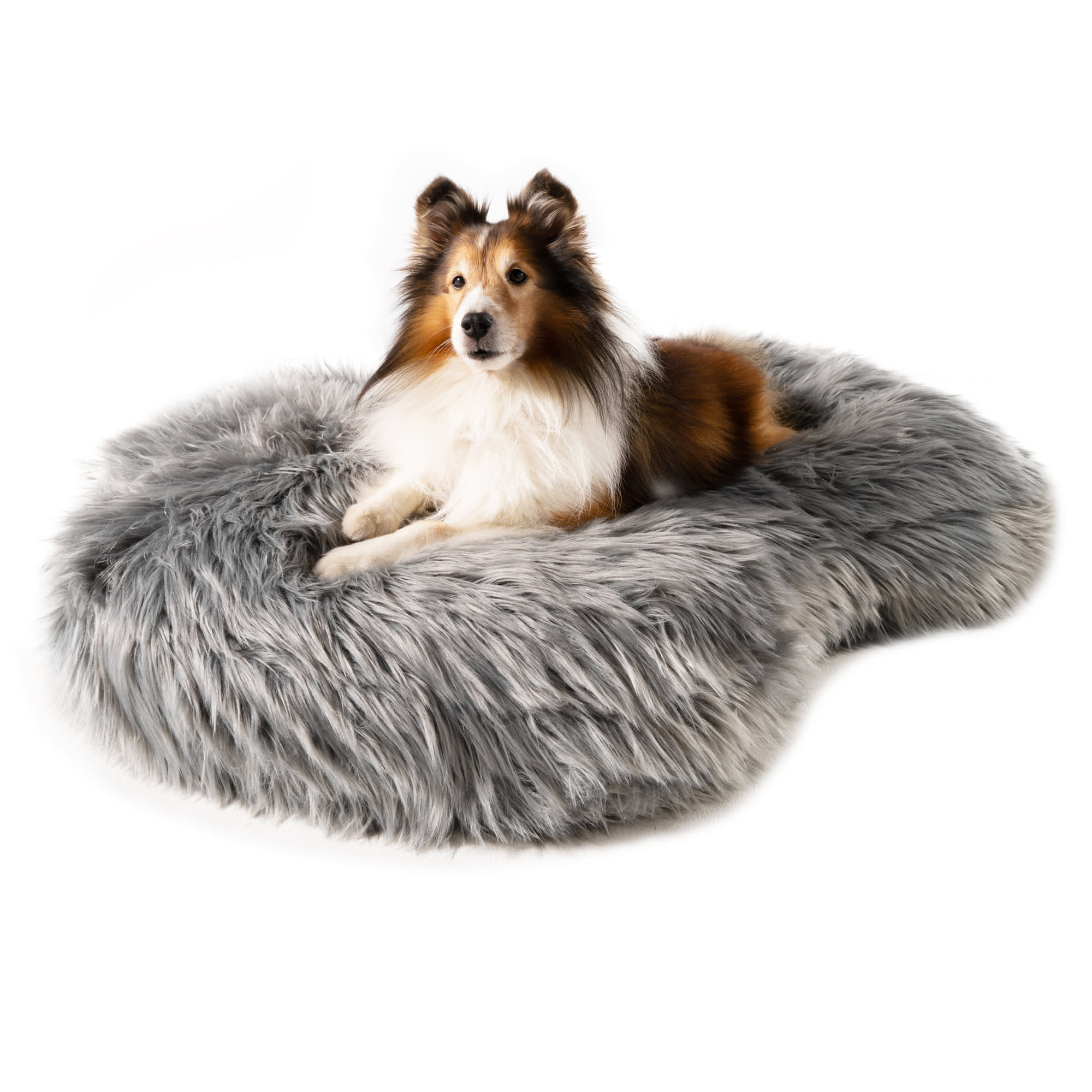 Paw Brands PupCloud Faux Fur Memory Foam Dog Bed, 50" L X 32" W X 5" H, Curve Charcoal Grey, One Size Fits All, Gray