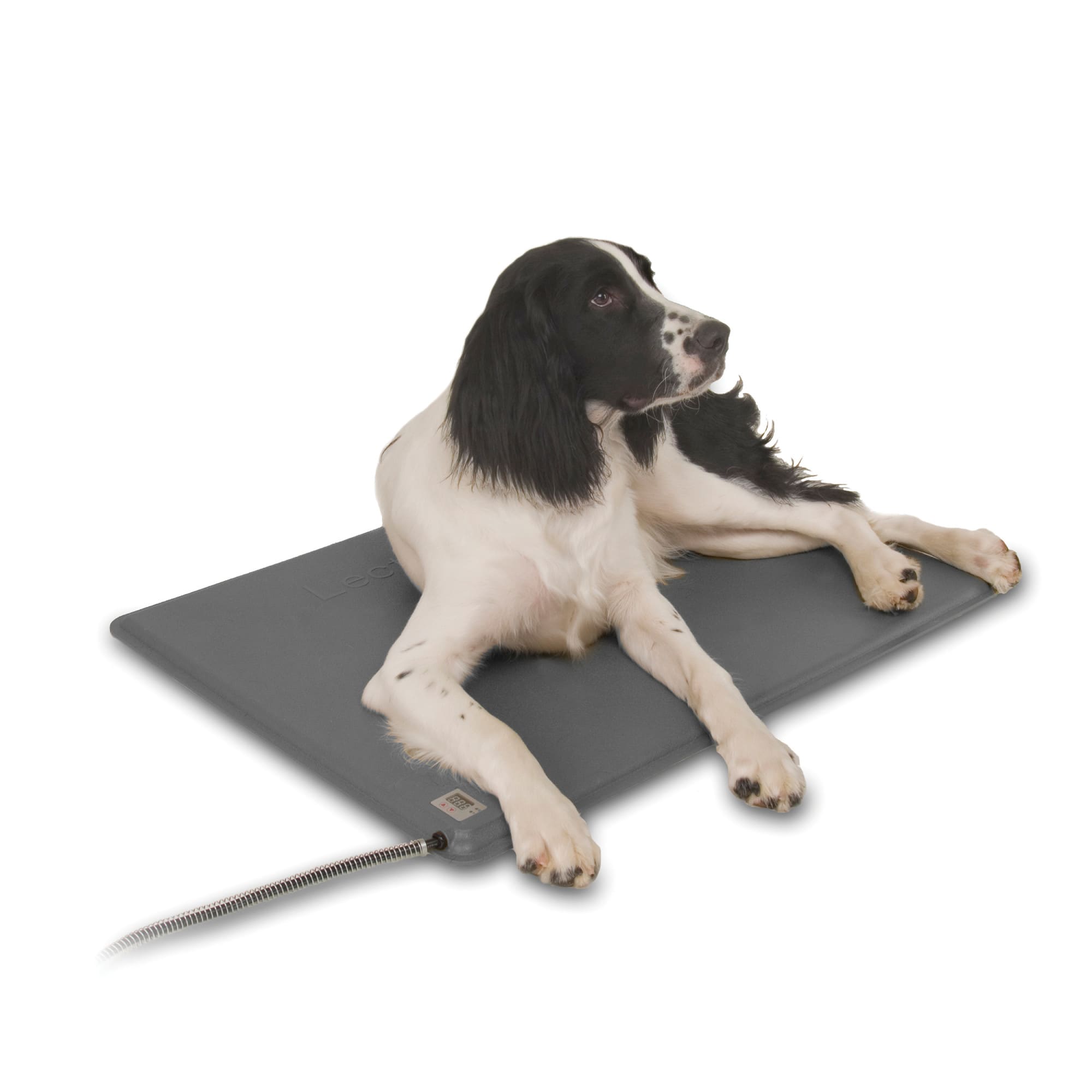 Photos - Bed & Furniture K&H Pet Products Deluxe Lectro-Kennel Heated Pad Dog Bed, 22.5" L X 16 