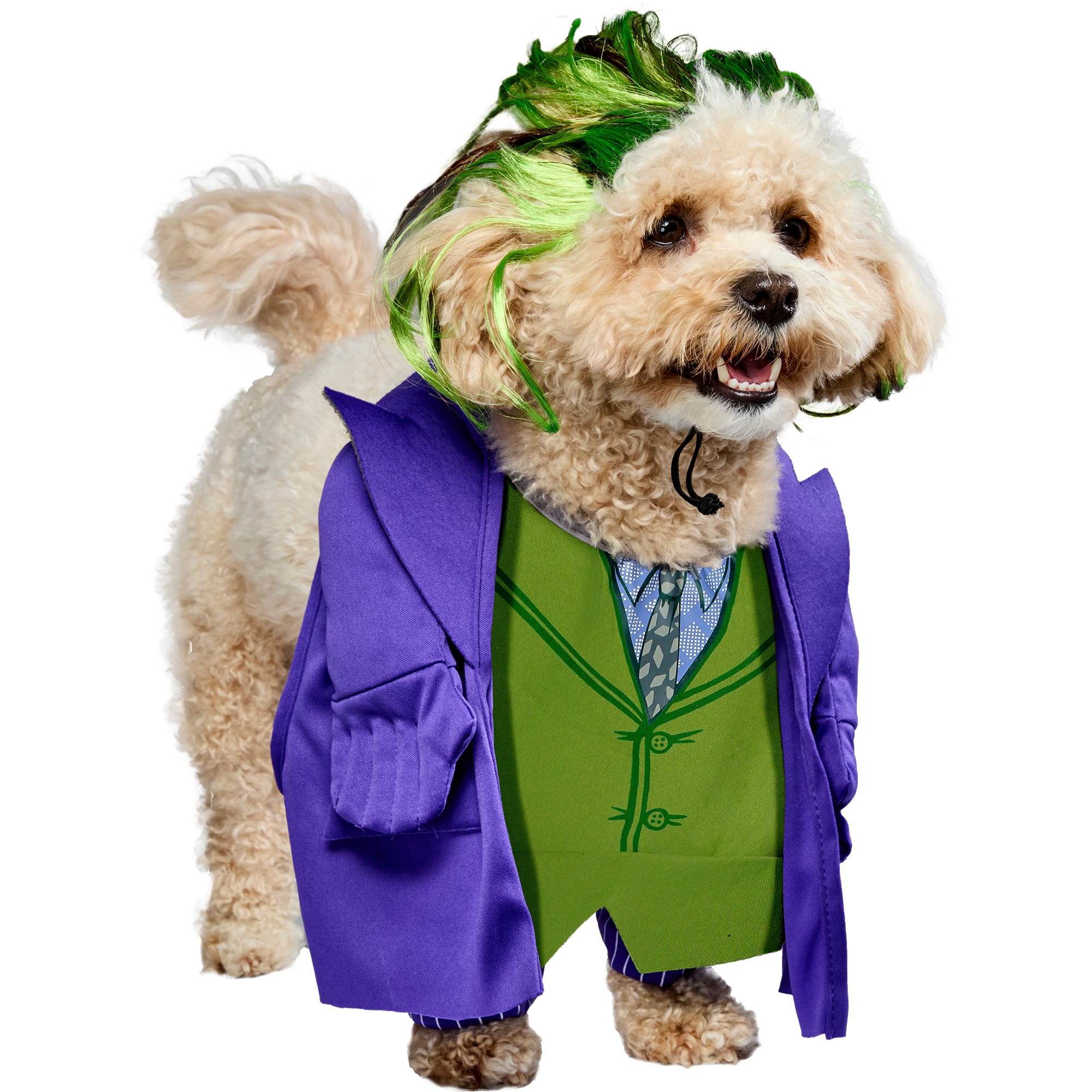 RUBIES Joker Pet Costume, X-Large, Purple/Green, Purple / Green -  885953-XL