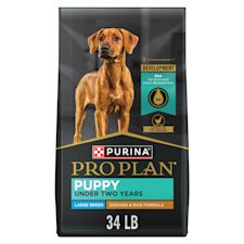 Top ten cheap puppy foods