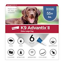 Dog flea tick heartworm sales meds