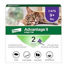 Cat Flea Medicine Flea Tick Treatments Petco