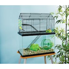 Hamster stuff at petco sale